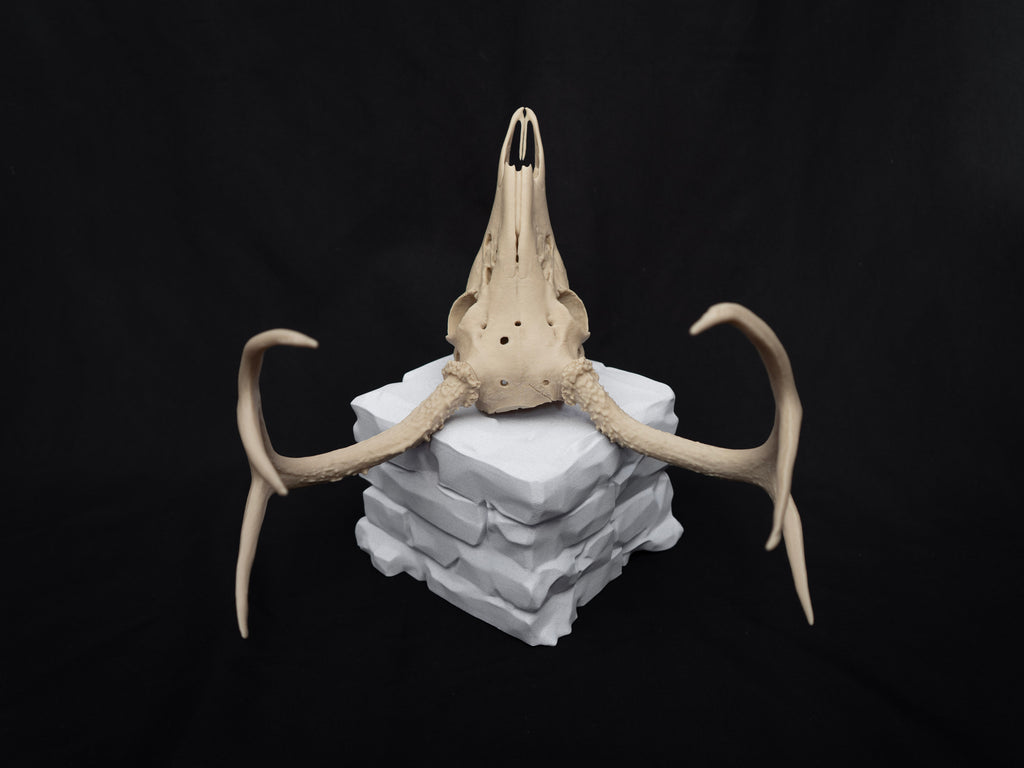 Life Size Deer Skull Kit Replica – Realistic 3D Printed Deer Skull Bone Display - Assemble At Home
