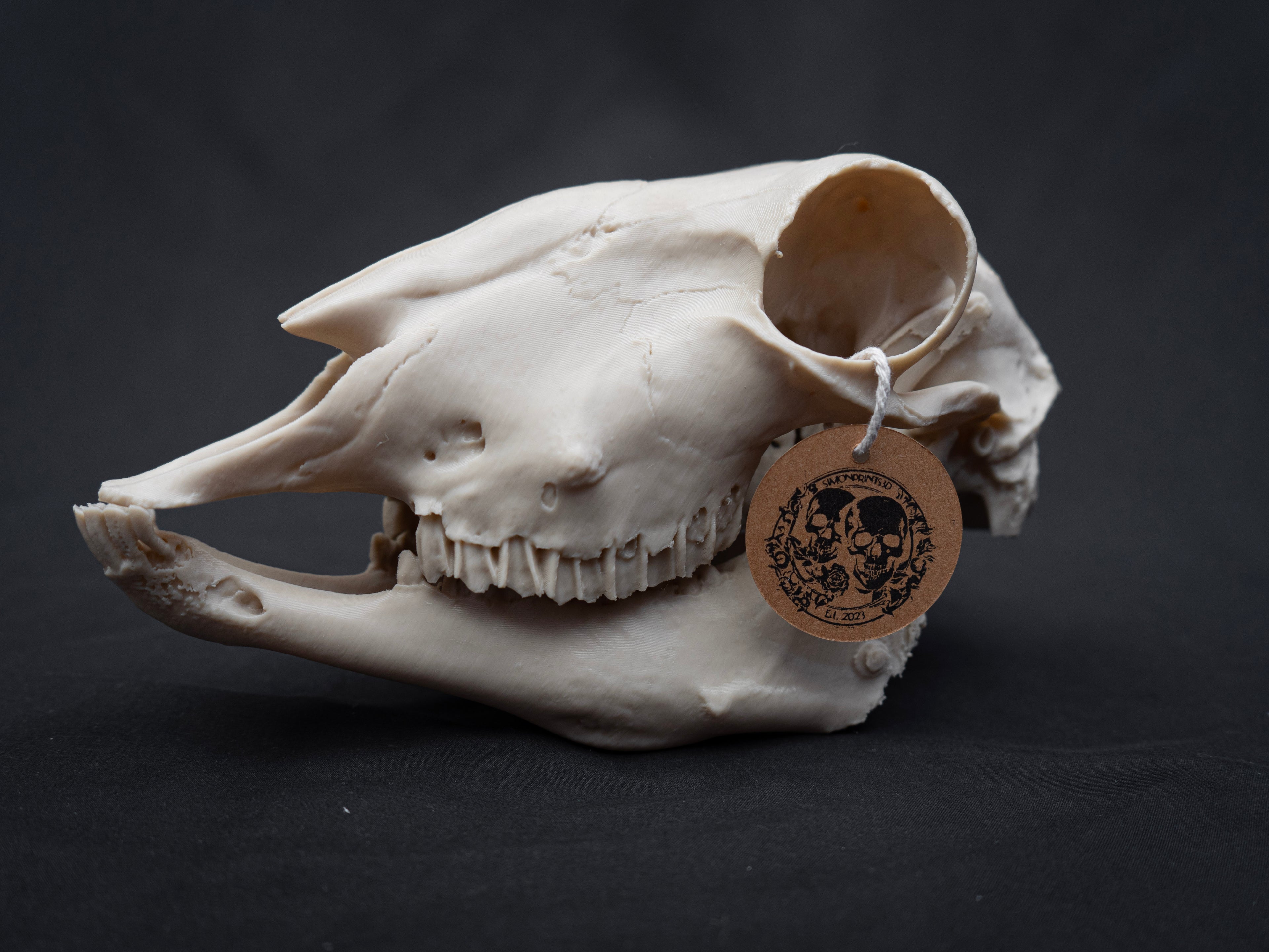 Life Size Sheep Skull Replica – Realistic 3D Printed Bone Model Display