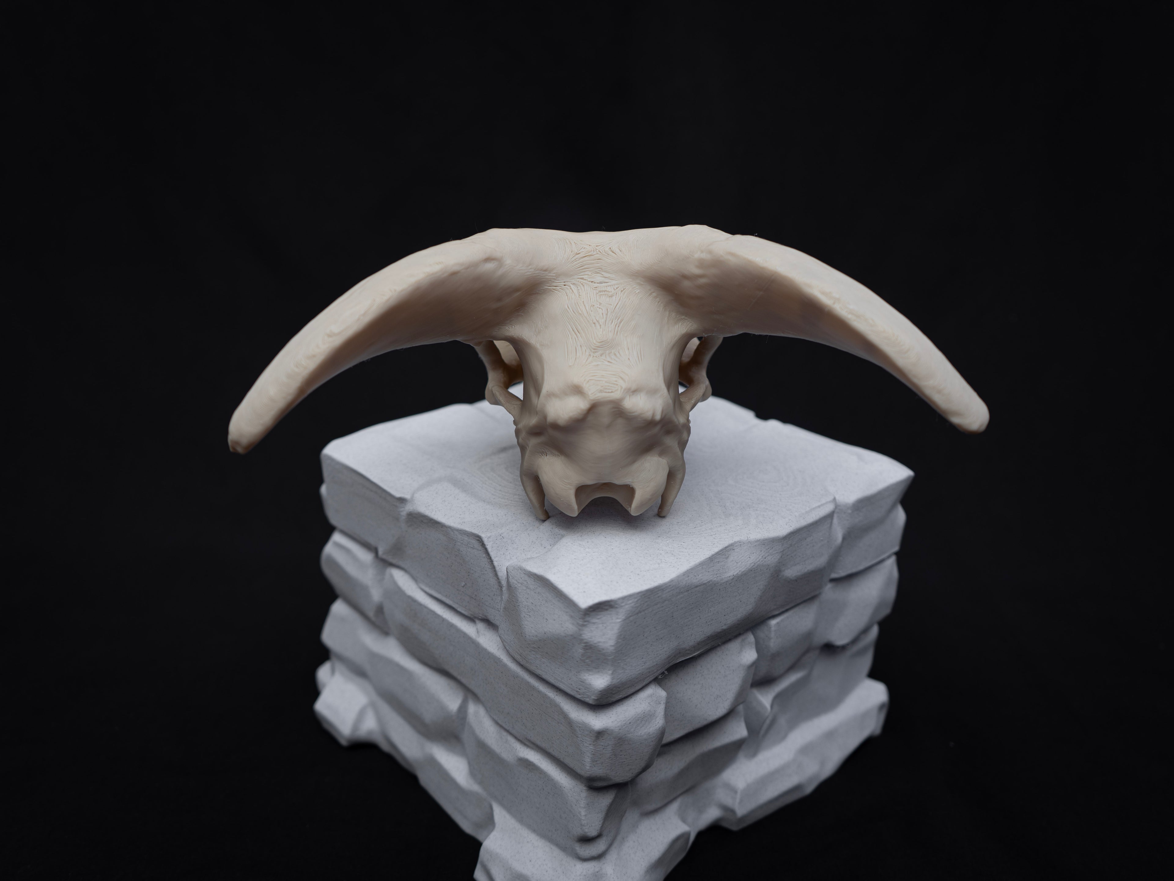 Sheep Skull Replica with Horns – Realistic 3D Printed Bone Model Display
