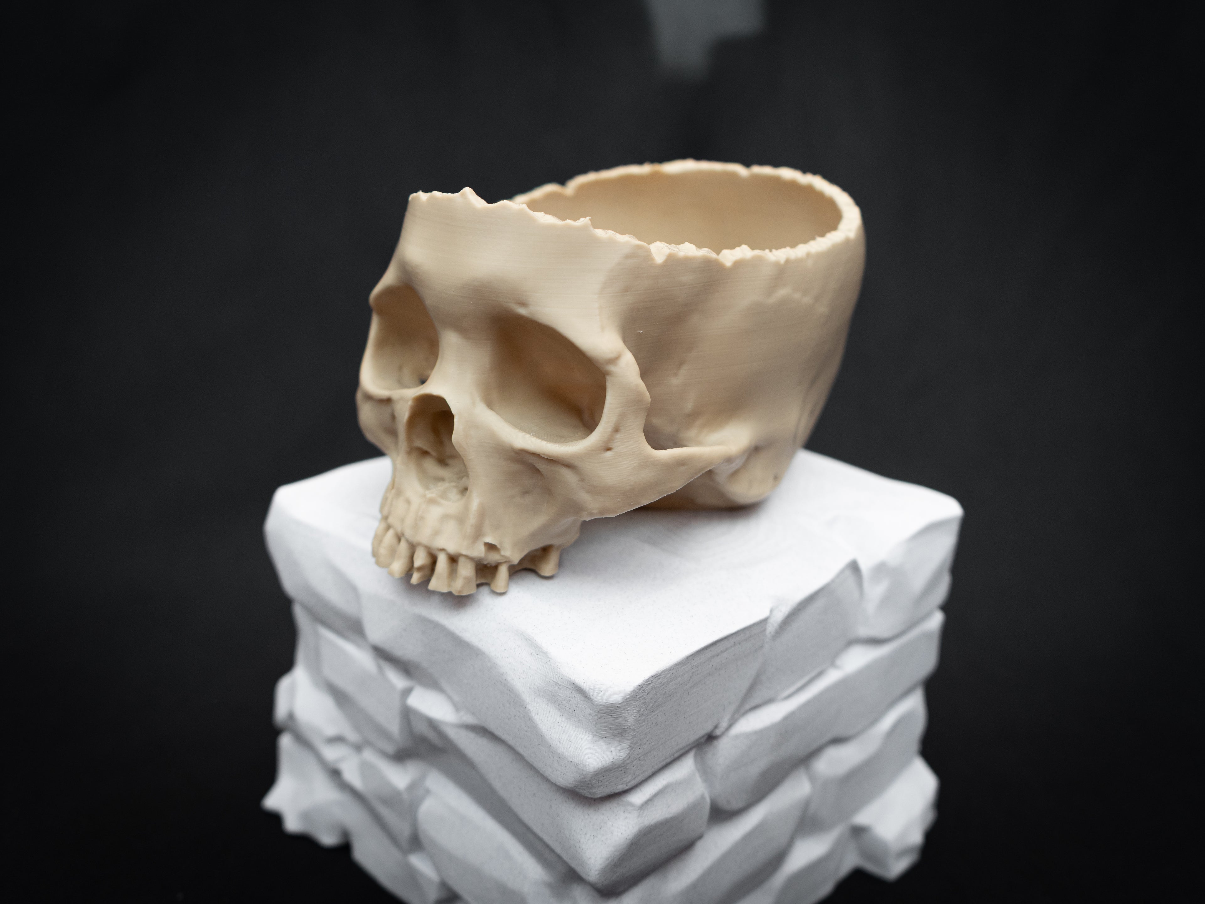 Human Skull Bowl – Halloween Candy Dish, Gothic Home Décor, 3D Printed Bone