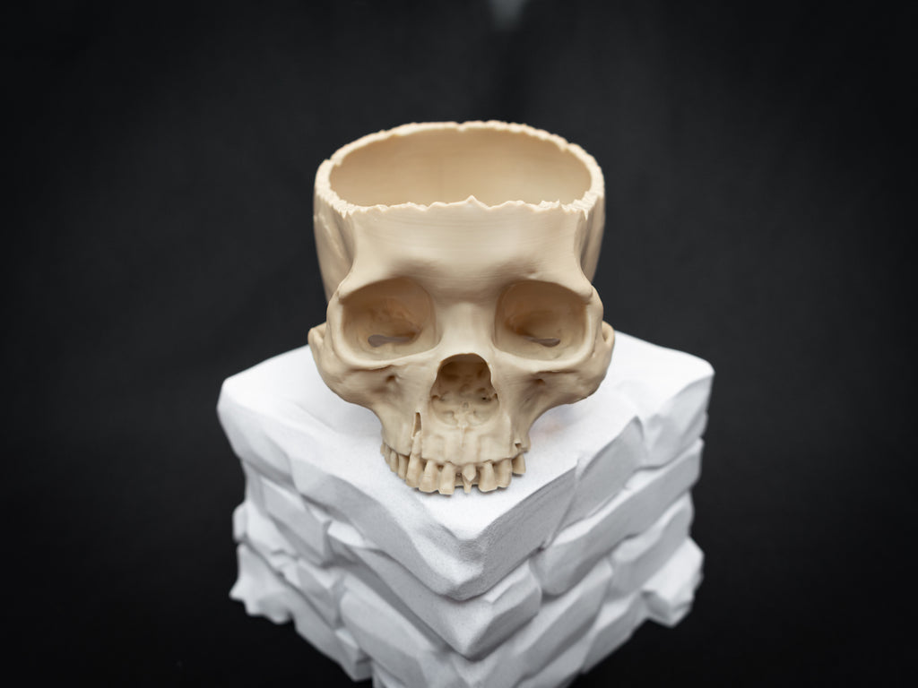 Human Skull Bowl – Halloween Candy Dish, Gothic Home Décor, 3D Printed Bone