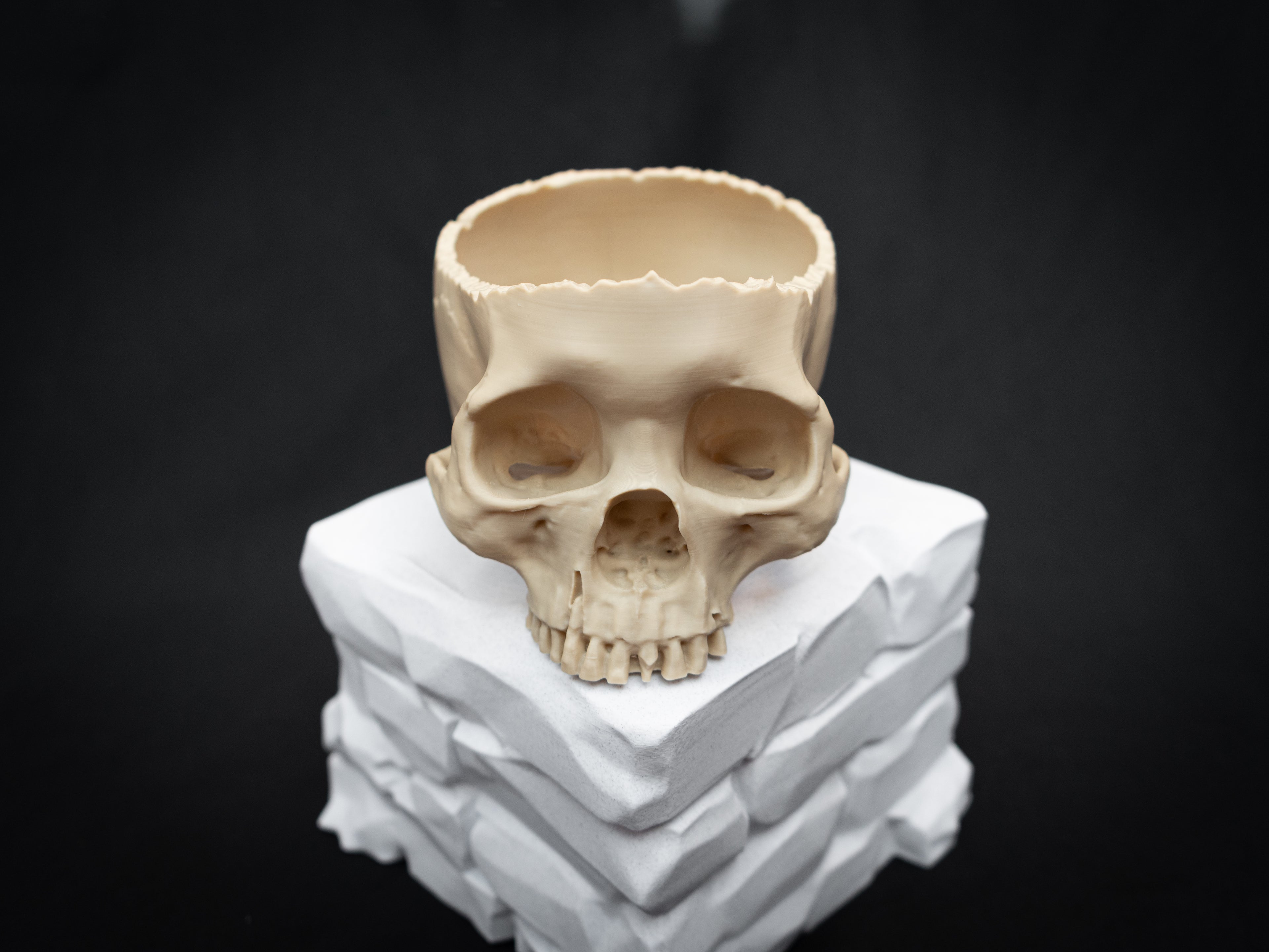 Human Skull Bowl – Halloween Candy Dish, Gothic Home Décor, 3D Printed Bone