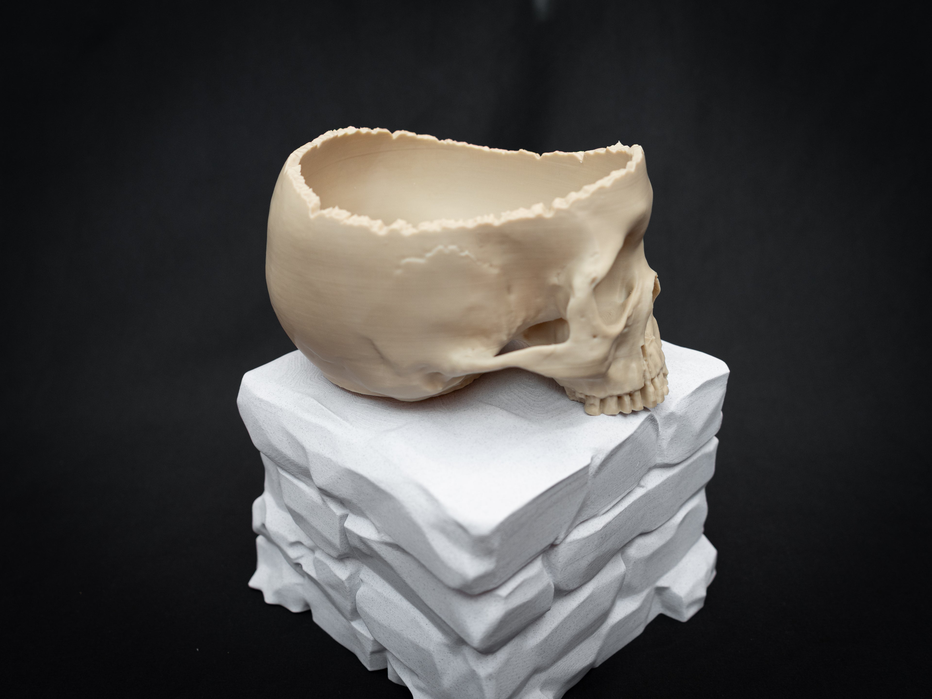 Human Skull Bowl – Halloween Candy Dish, Gothic Home Décor, 3D Printed Bone