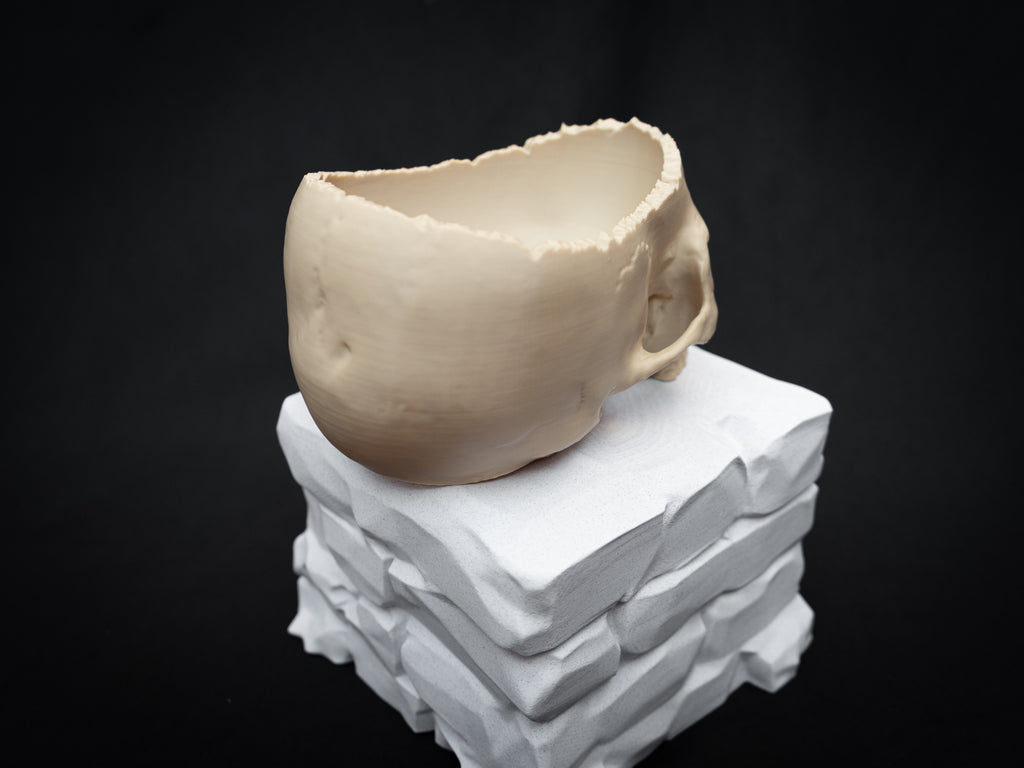 Human Skull Bowl – Halloween Candy Dish, Gothic Home Décor, 3D Printed Bone