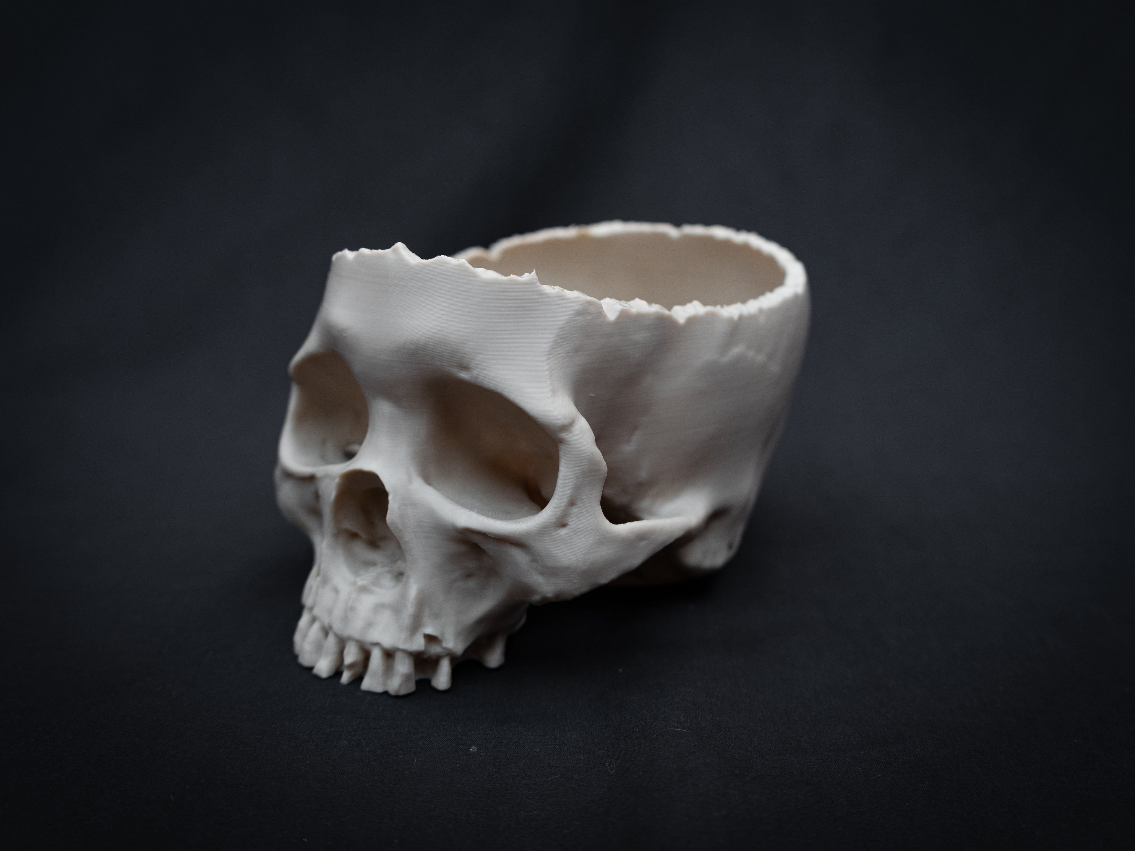 Human Skull Bowl – Halloween Candy Dish, Gothic Home Décor, 3D Printed Bone