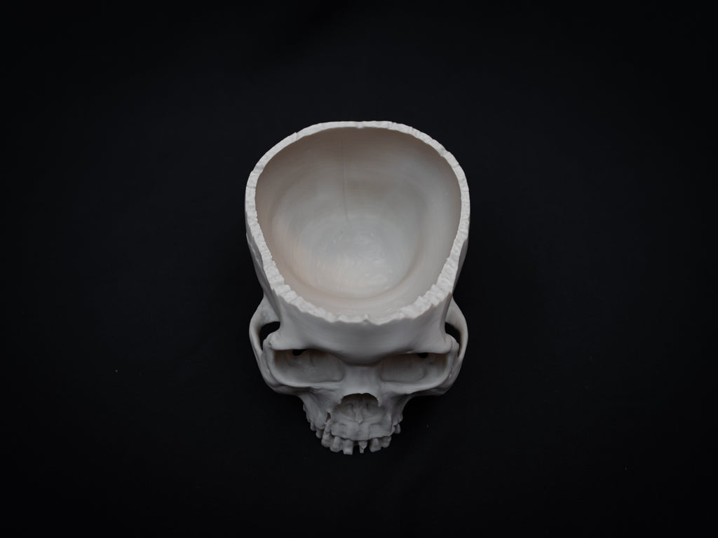 Human Skull Bowl – Halloween Candy Dish, Gothic Home Décor, 3D Printed Bone