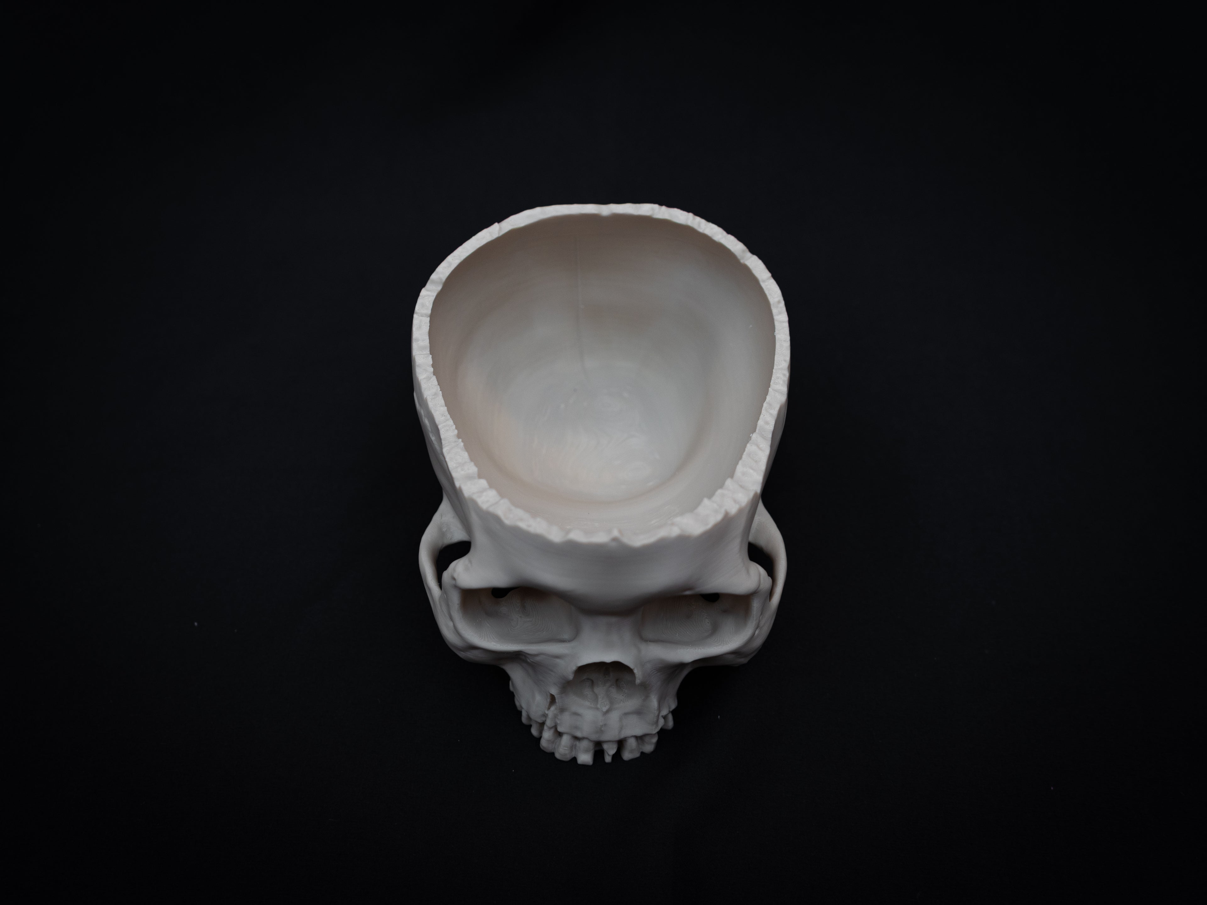 Human Skull Bowl – Halloween Candy Dish, Gothic Home Décor, 3D Printed Bone