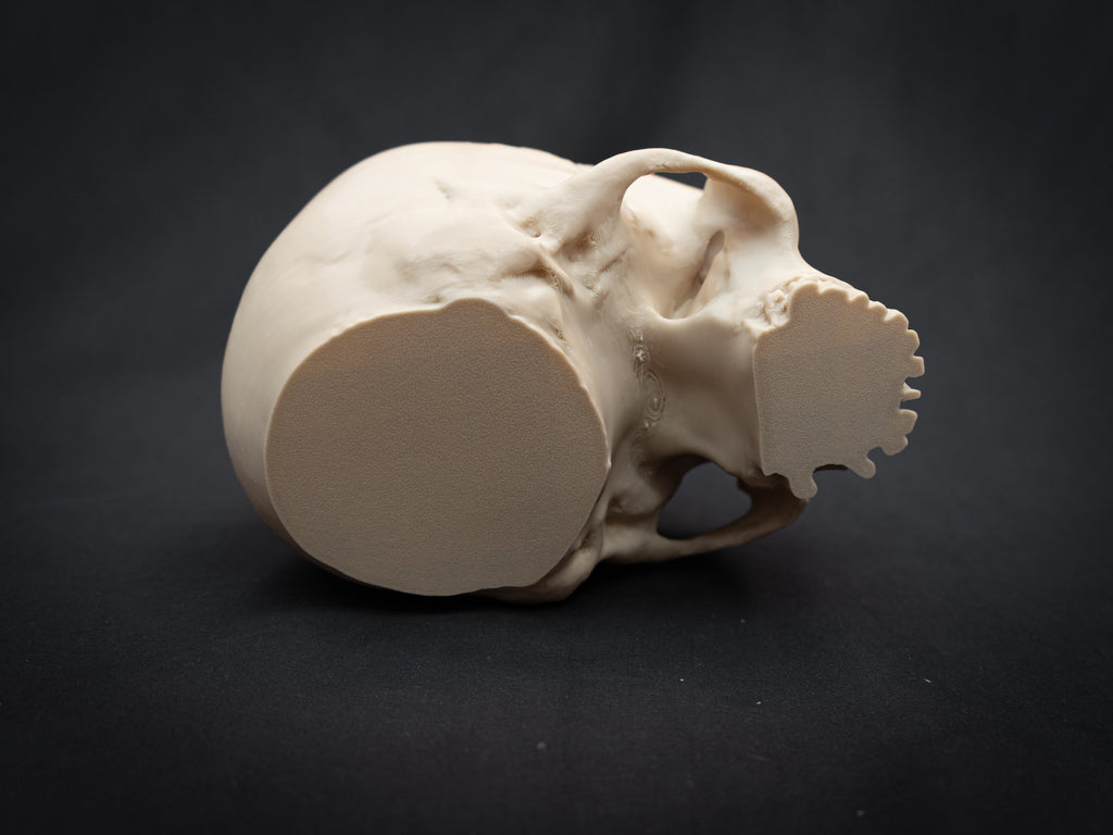 Human Skull Bowl – Halloween Candy Dish, Gothic Home Décor, 3D Printed Bone