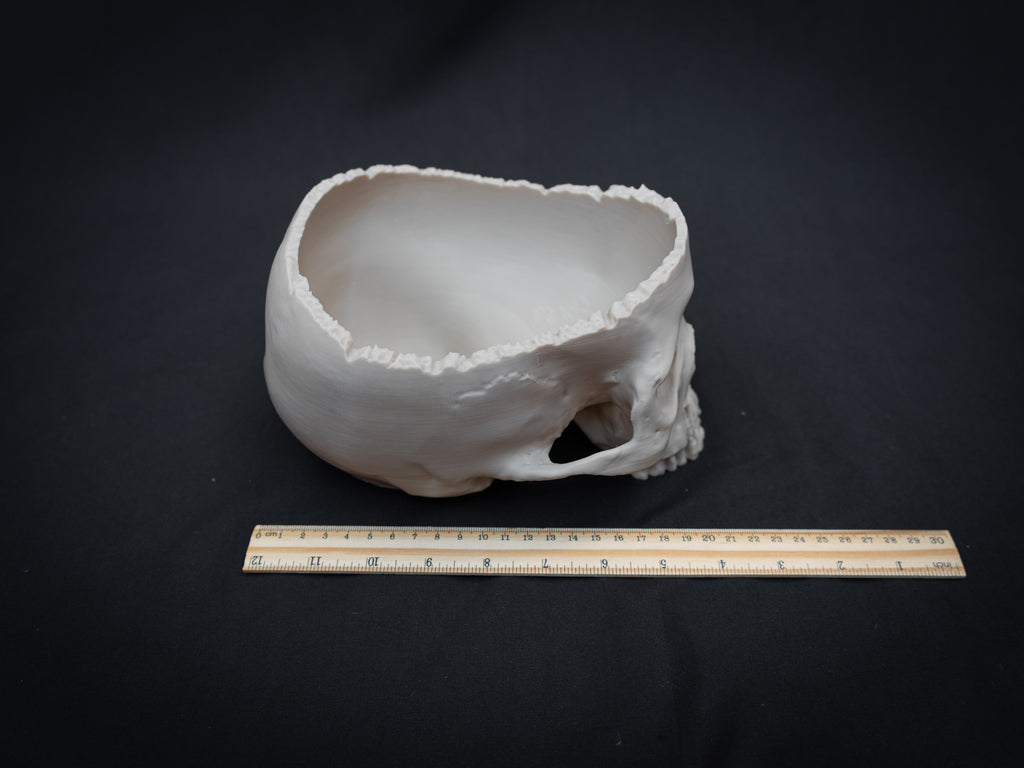 Human Skull Bowl – Halloween Candy Dish, Gothic Home Décor, 3D Printed Bone