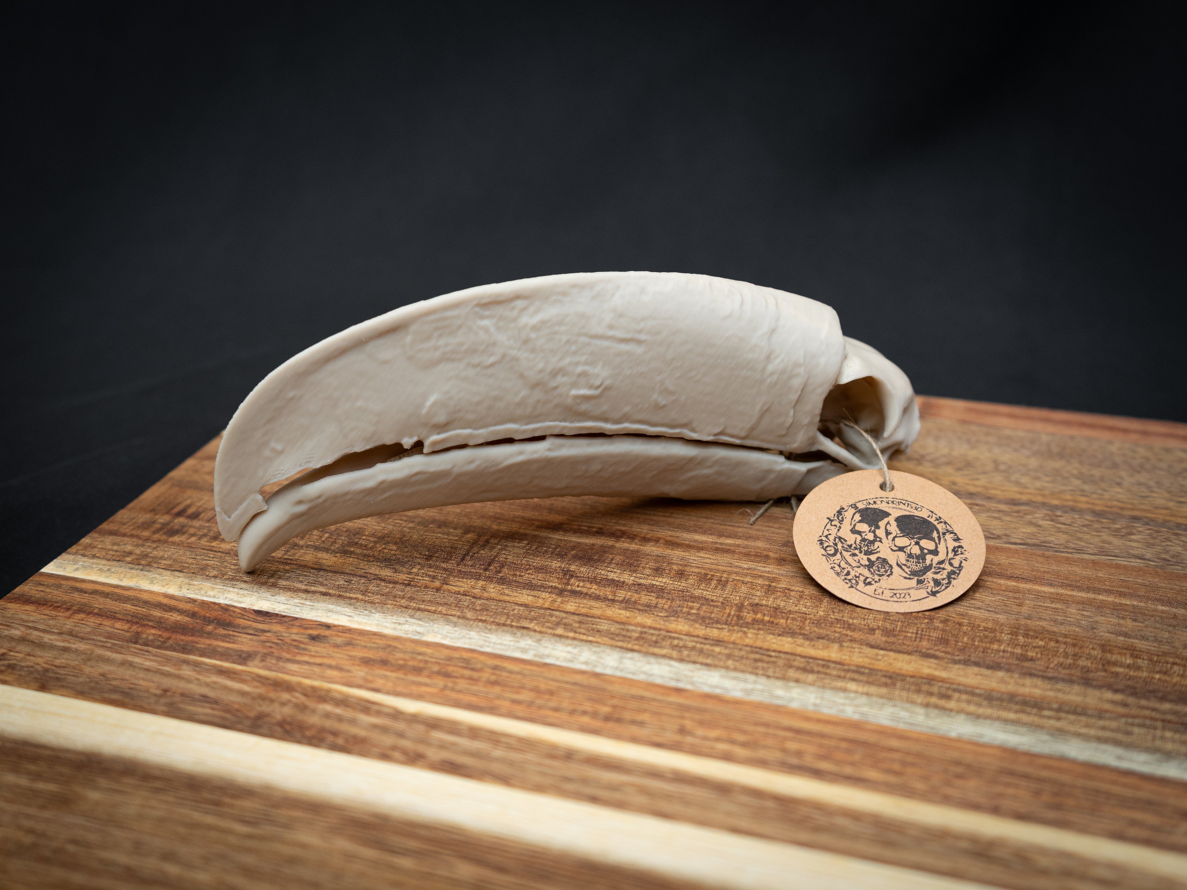 Toucan Skull Replica – Life Size 3D Printed Bird Skull Display