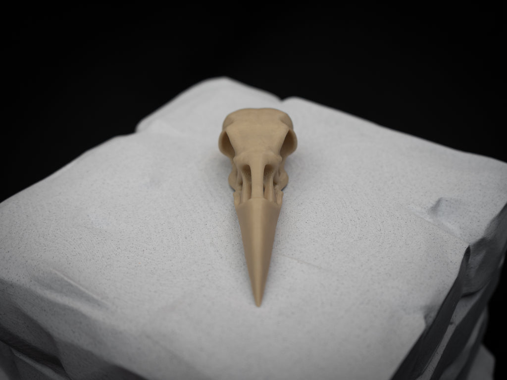 Life Size Raven Skull Replica – Realistic 3D Printed Bone Model Display