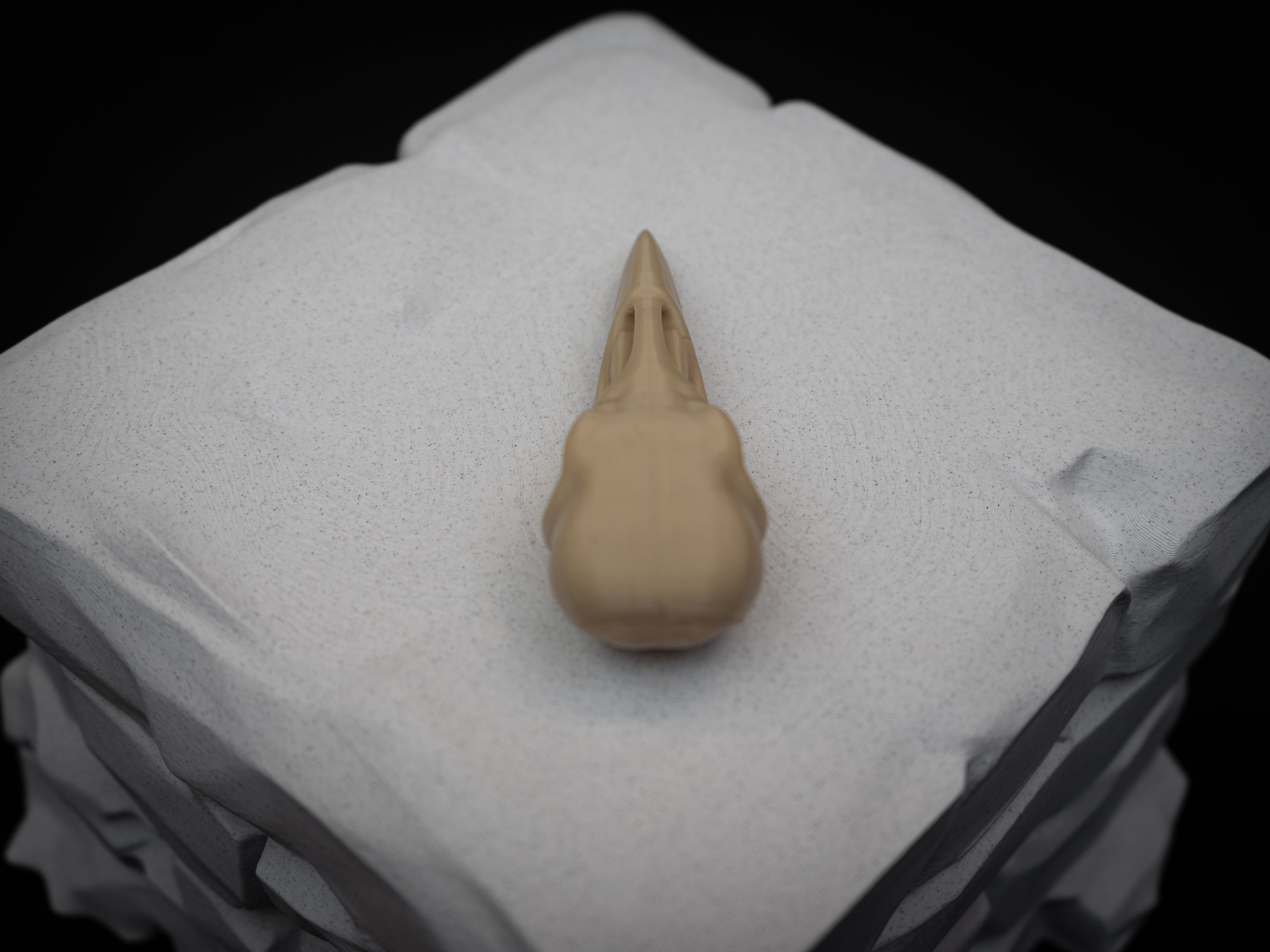 Life Size Raven Skull Replica – Realistic 3D Printed Bone Model Display