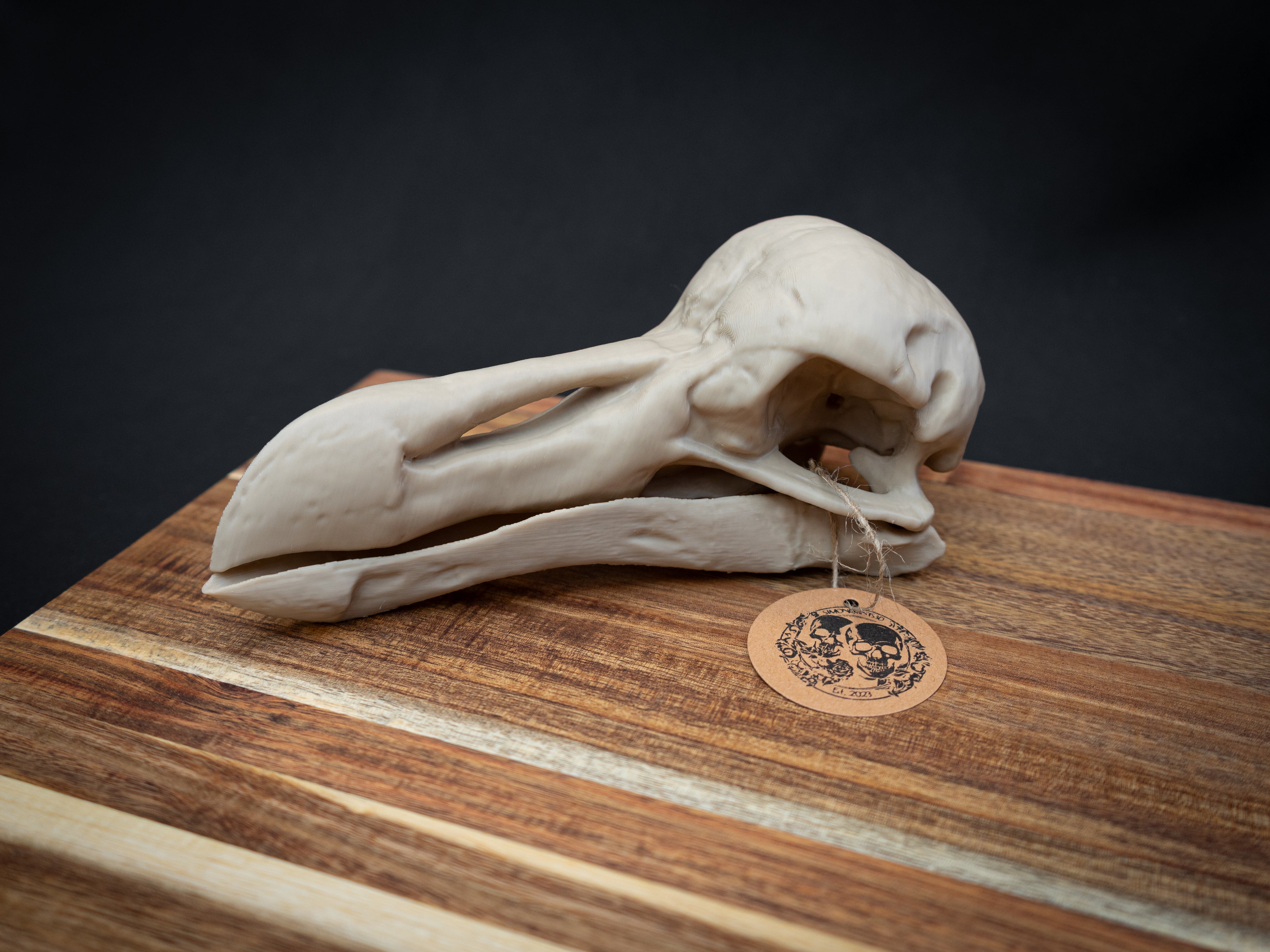 Life Size Dodo Skull Replica – Realistic 3D Printed Bone Model Display