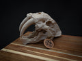Scaled Down Sabretooth Tiger Skull Replica – Realistic 3D Printed Bone Model
