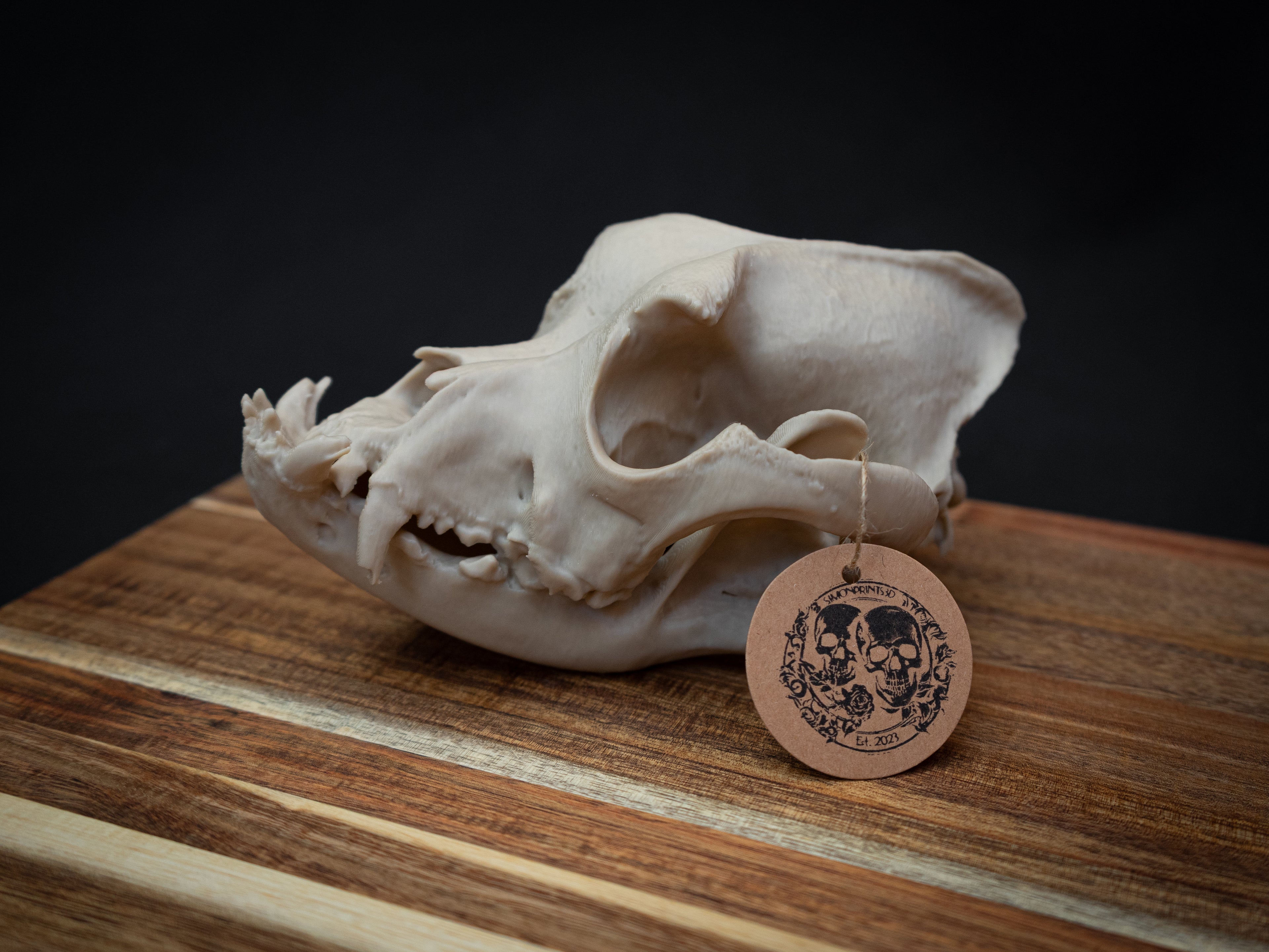 Life Size Bulldog Skull Replica – Realistic 3D Printed Dog Bone Model Display