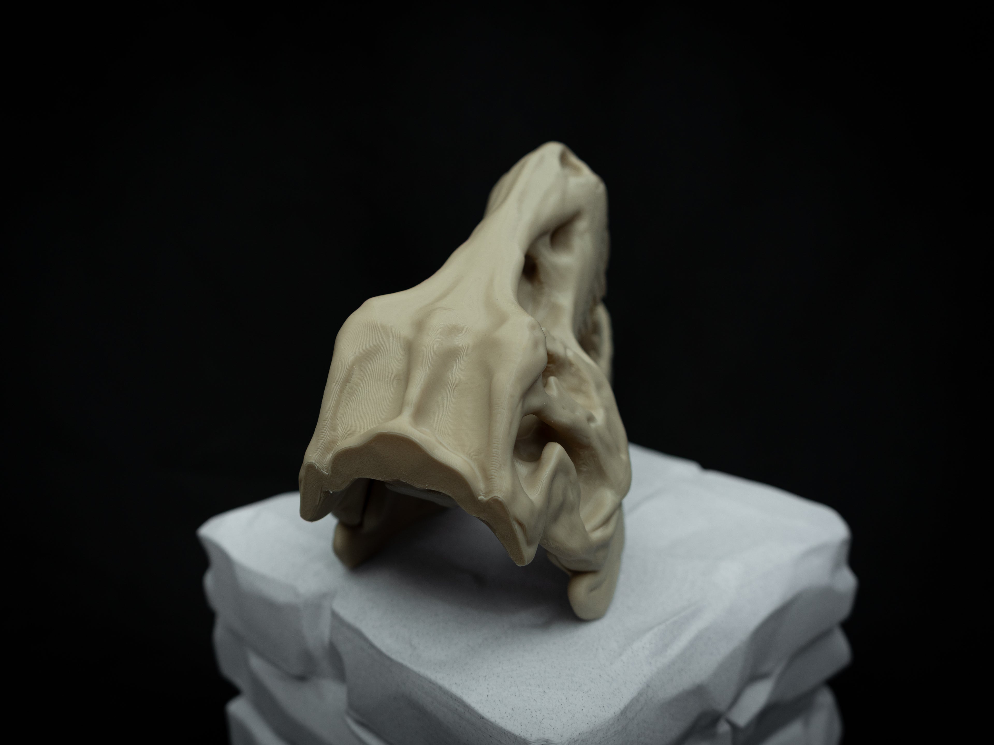 Scaled Down T-Rex Skull Replica – Realistic 3D Printed Dinosaur Bone Model