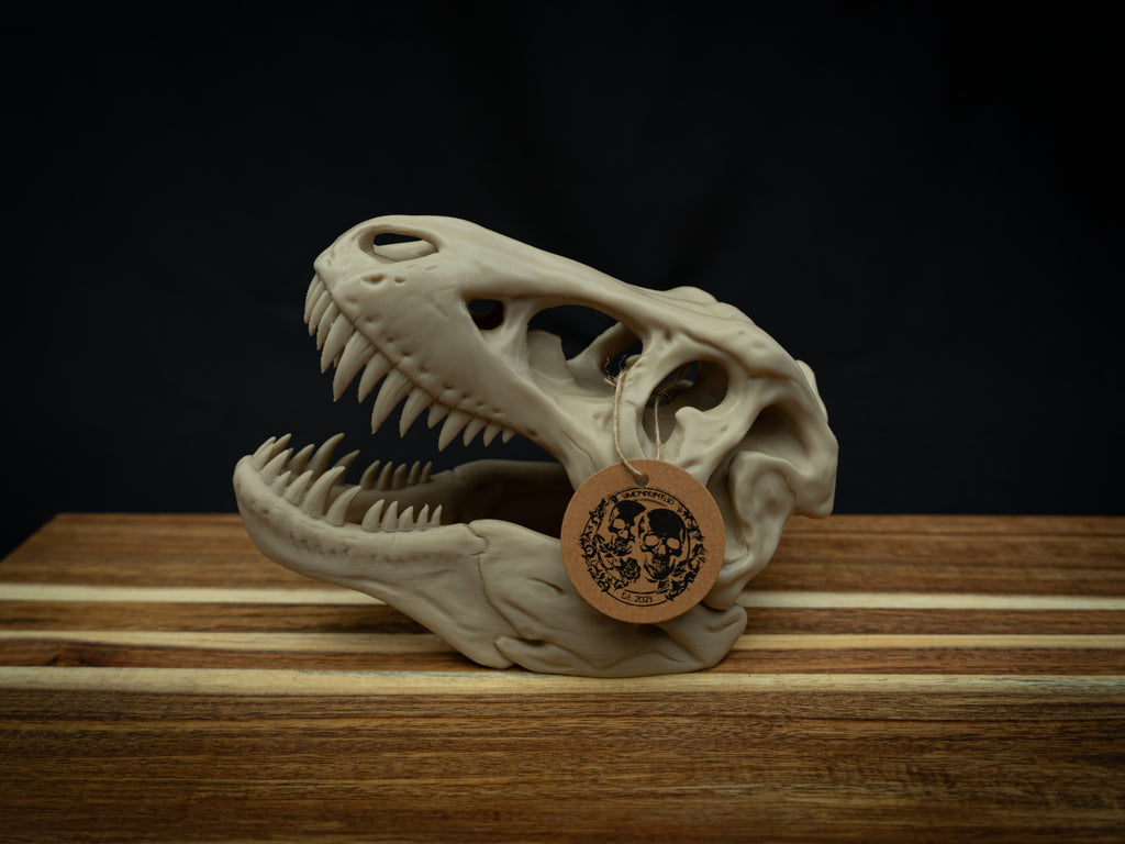 Scaled Down T-Rex Skull Replica – Realistic 3D Printed Dinosaur Bone Model