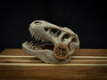 Scaled Down T-Rex Skull Replica – Realistic 3D Printed Dinosaur Bone Model