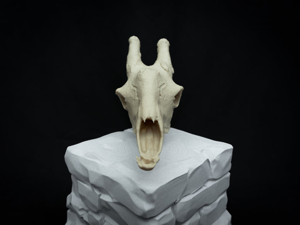 Scaled-Down Giraffe Skull Replica – Realistic 3D Printed Bone Model