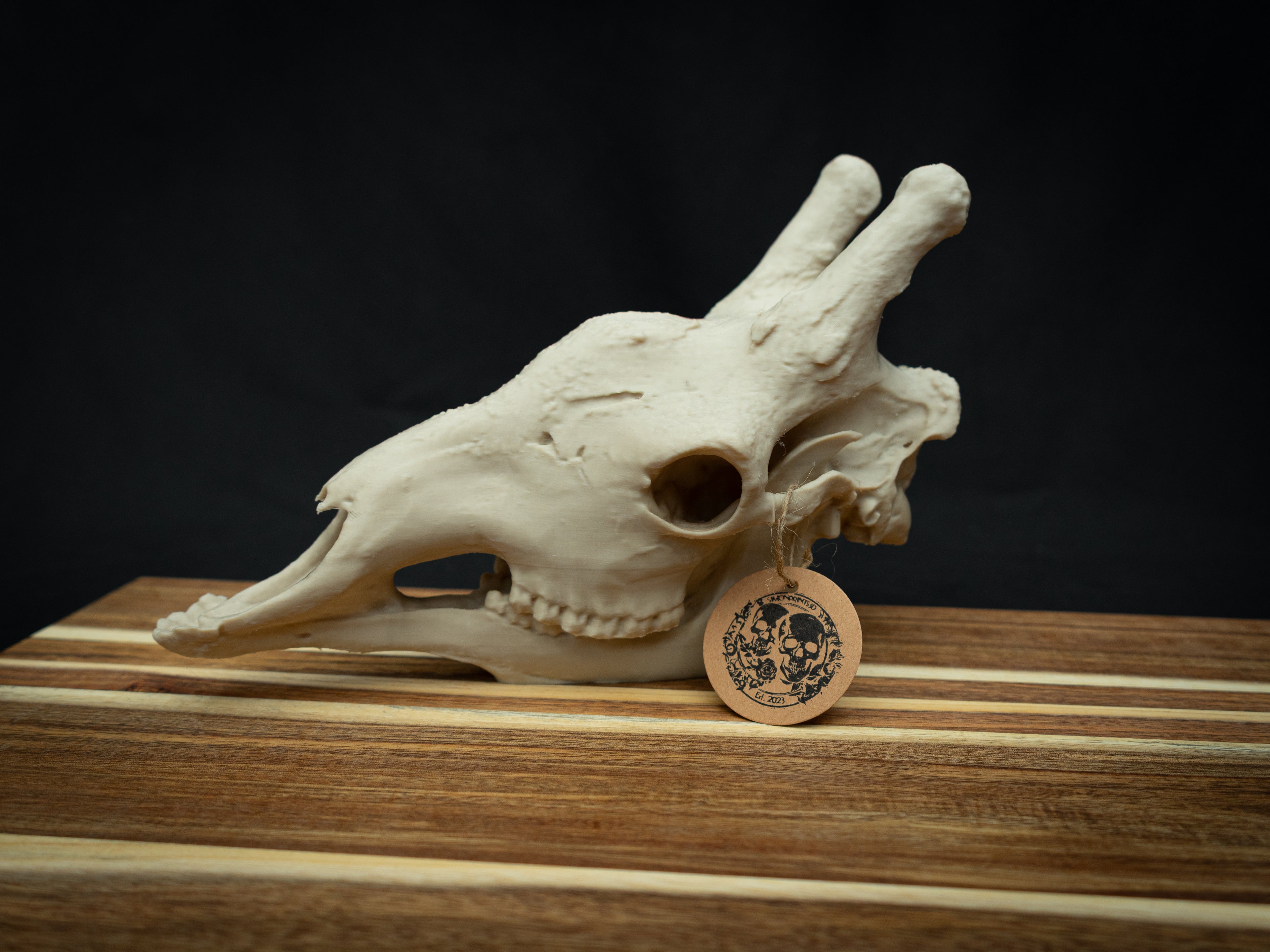 Scaled-Down Giraffe Skull Replica – Realistic 3D Printed Bone Model
