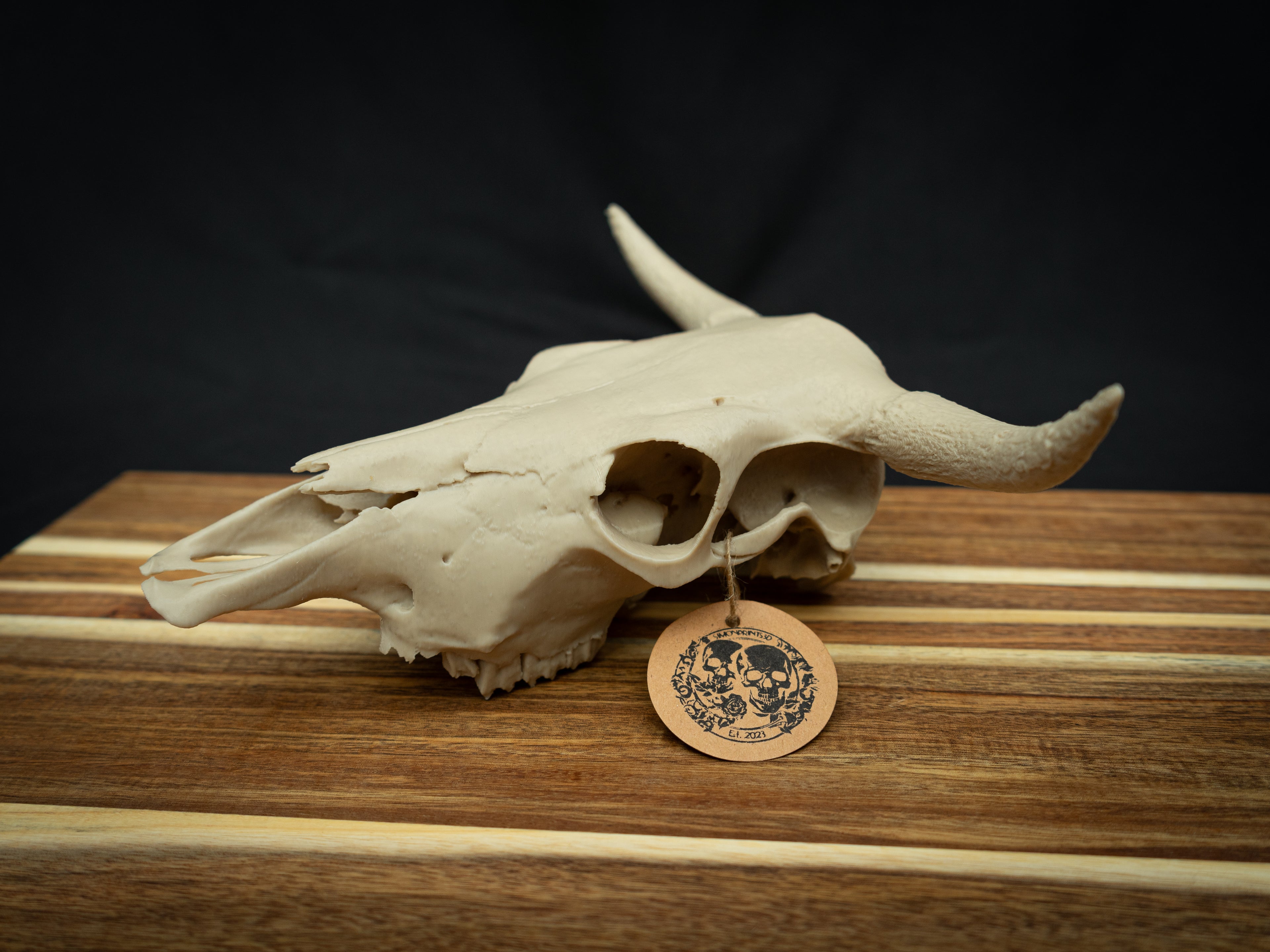 Cow Skull Replica – Scaled Down 3D Printed Bone Model for Display or Décor