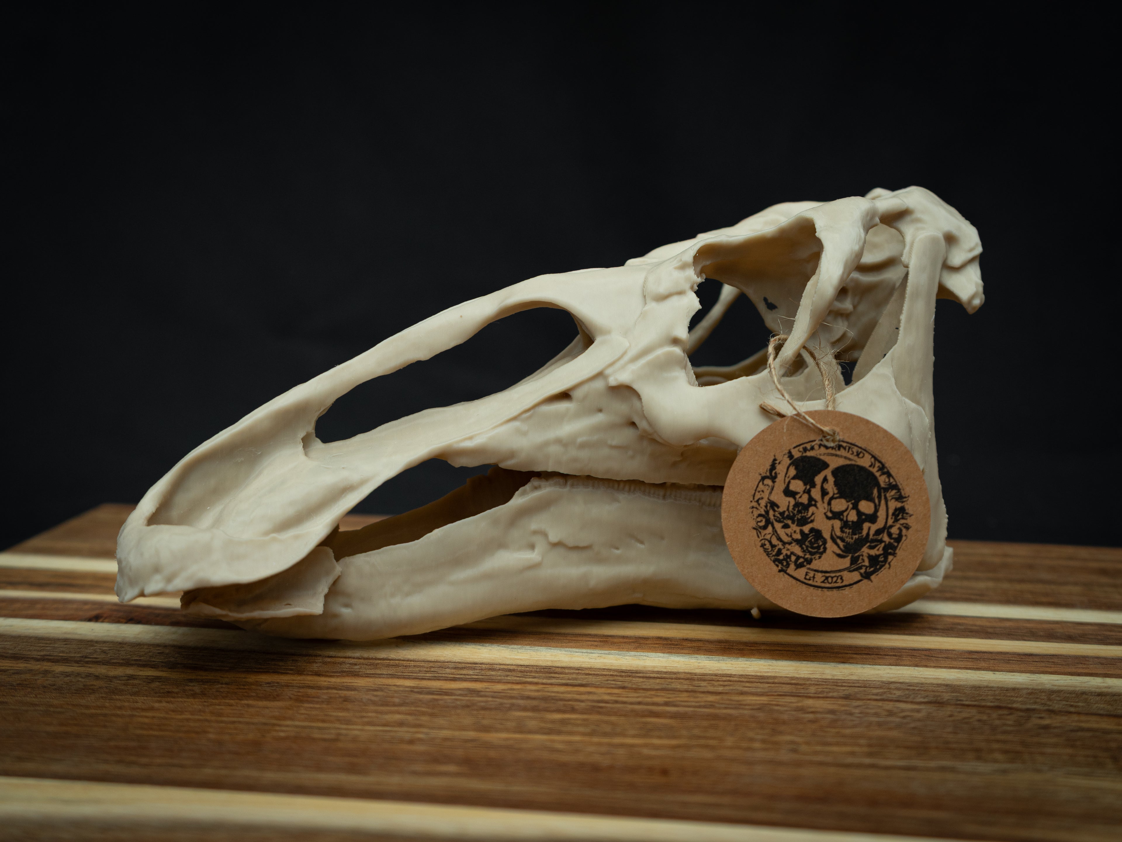 3D Printed Edmontosaurus Skull Replica – Scaled Down Dinosaur Bone Model Display