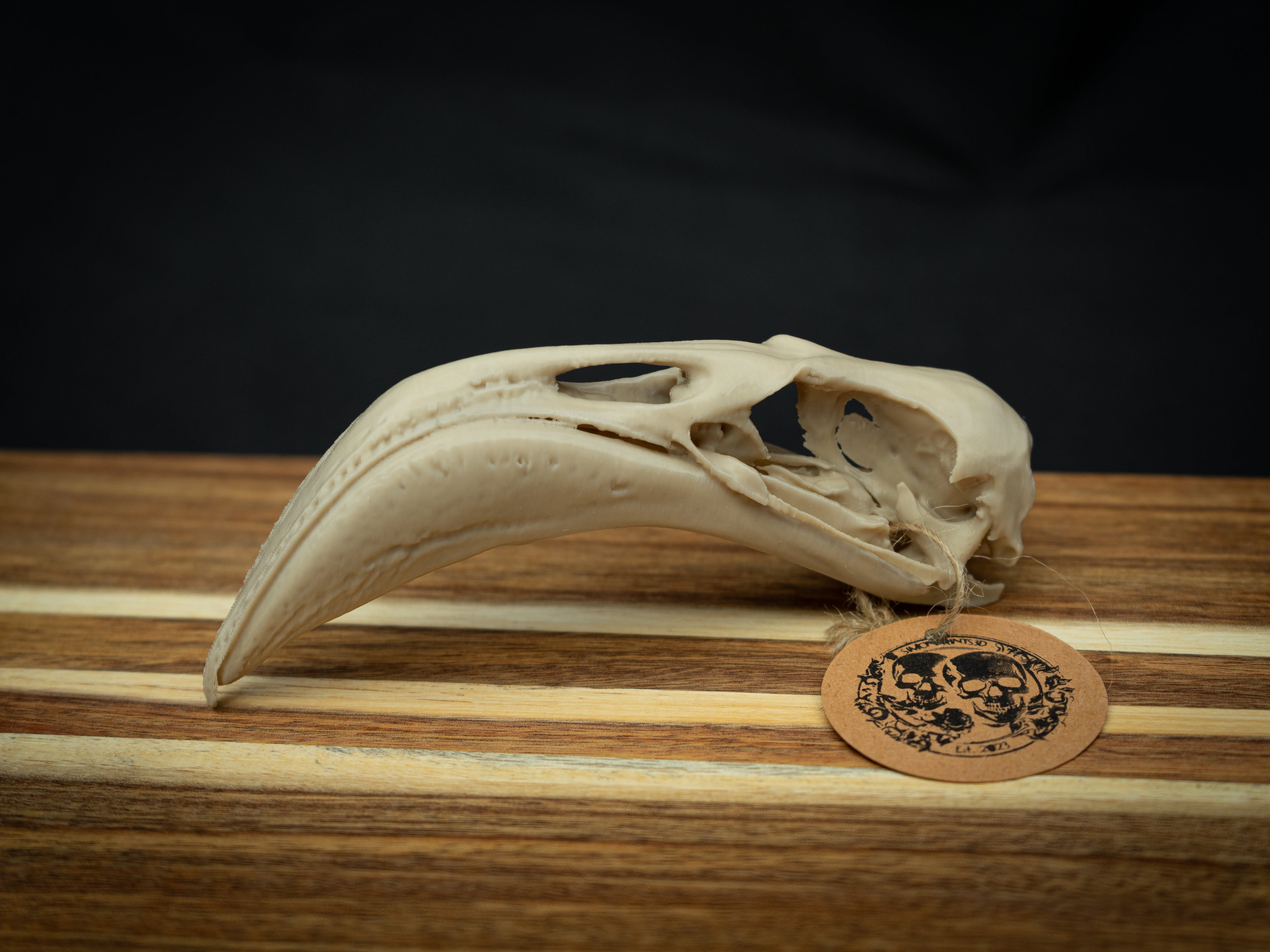 Life Size Flamingo Skull Replica – Realistic 3D Printed Bone Model Display