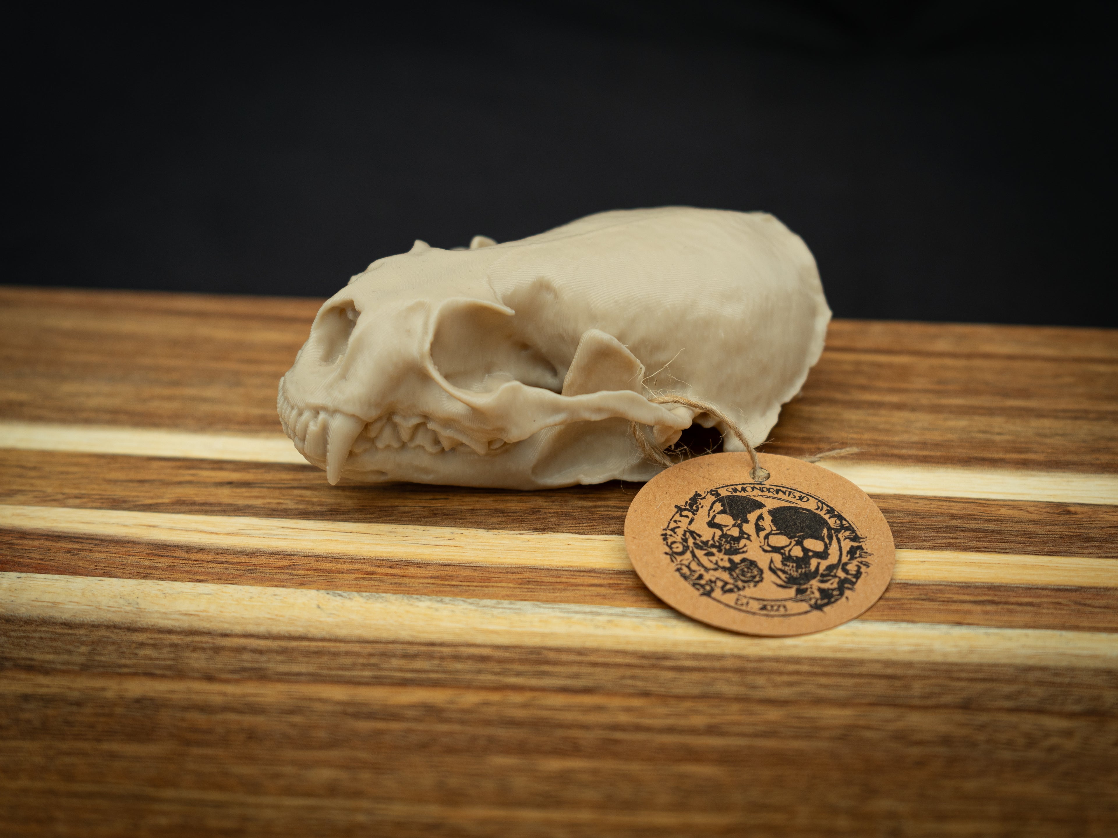 Life Size River Otter Skull Replica – Realistic 3D Printed Bone Model Display