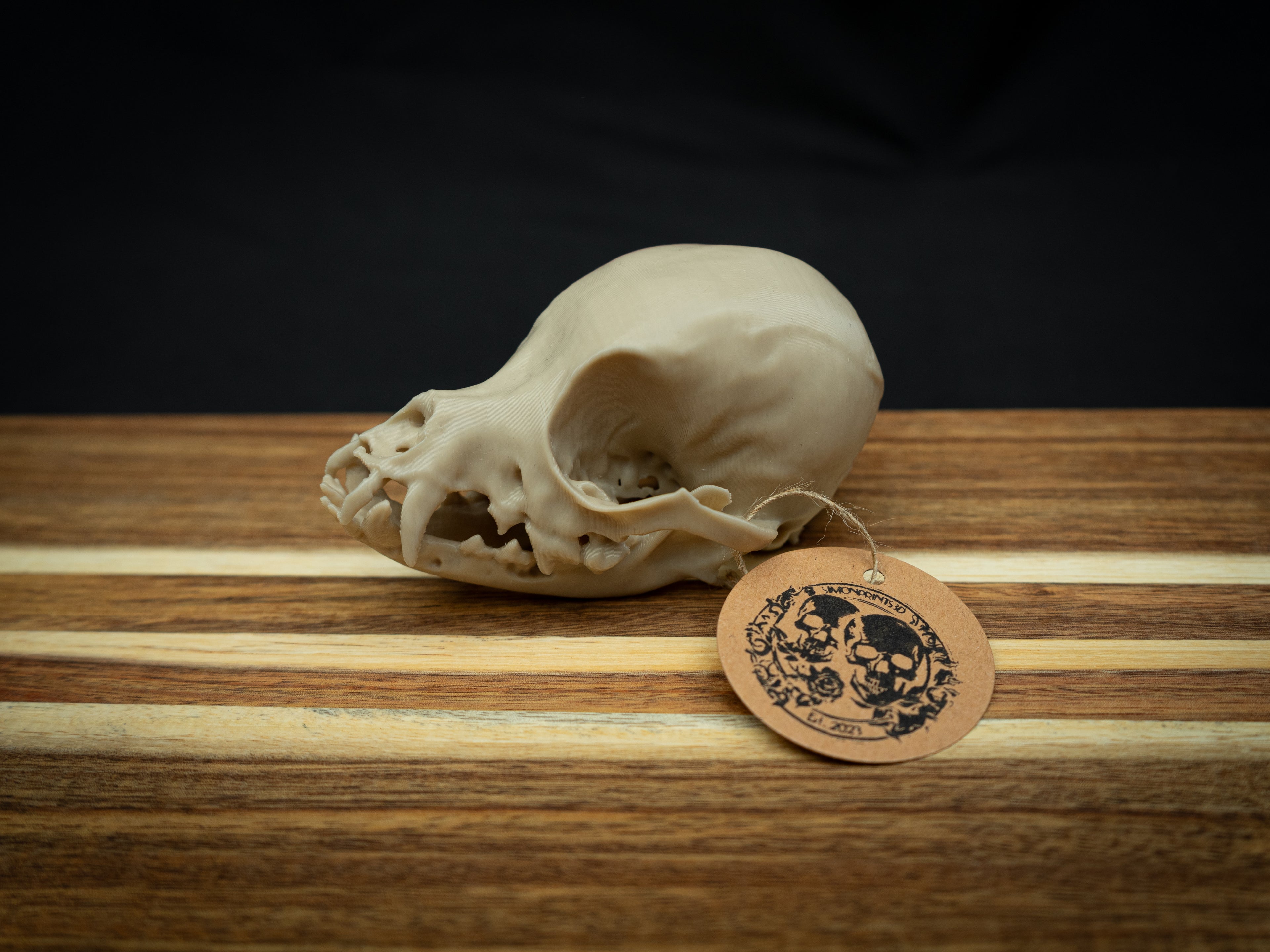 Life Size Chihuahua Skull Replica – Realistic 3D Printed Bone Model Display