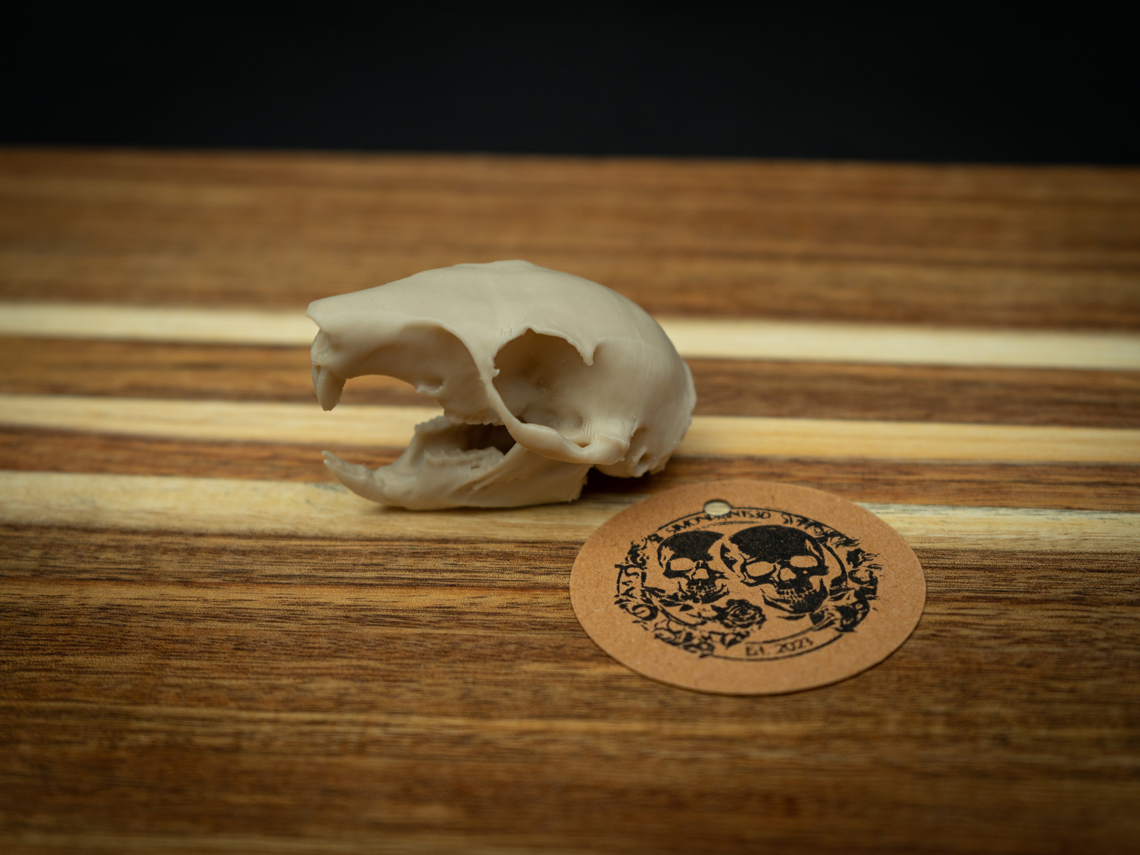 Life Size Squirrel Skull Replica – Realistic 3D Printed Bone Model Display