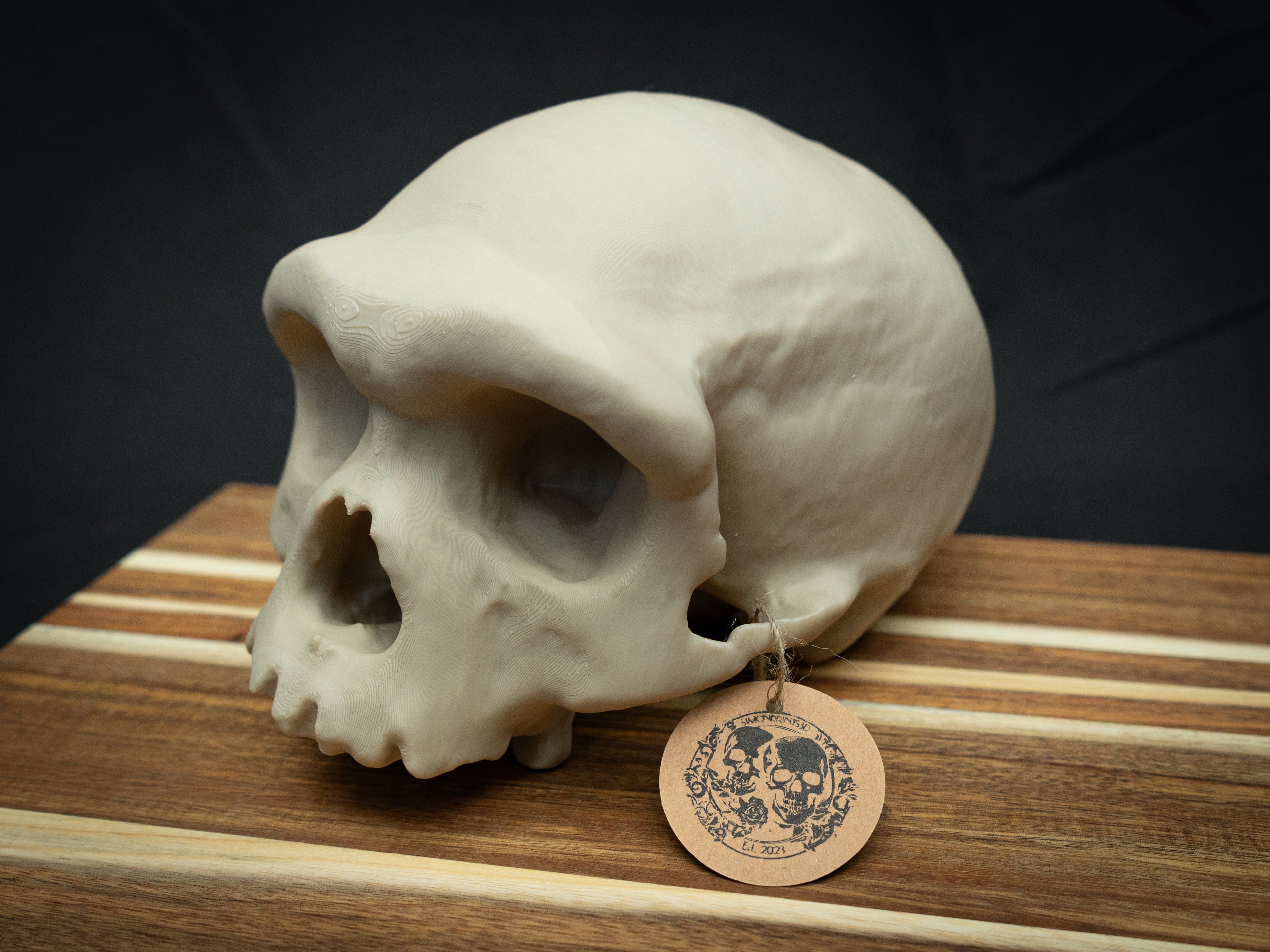 Denisovan Harbin Cranium – Realistic 3D Printed Bone Model for Display