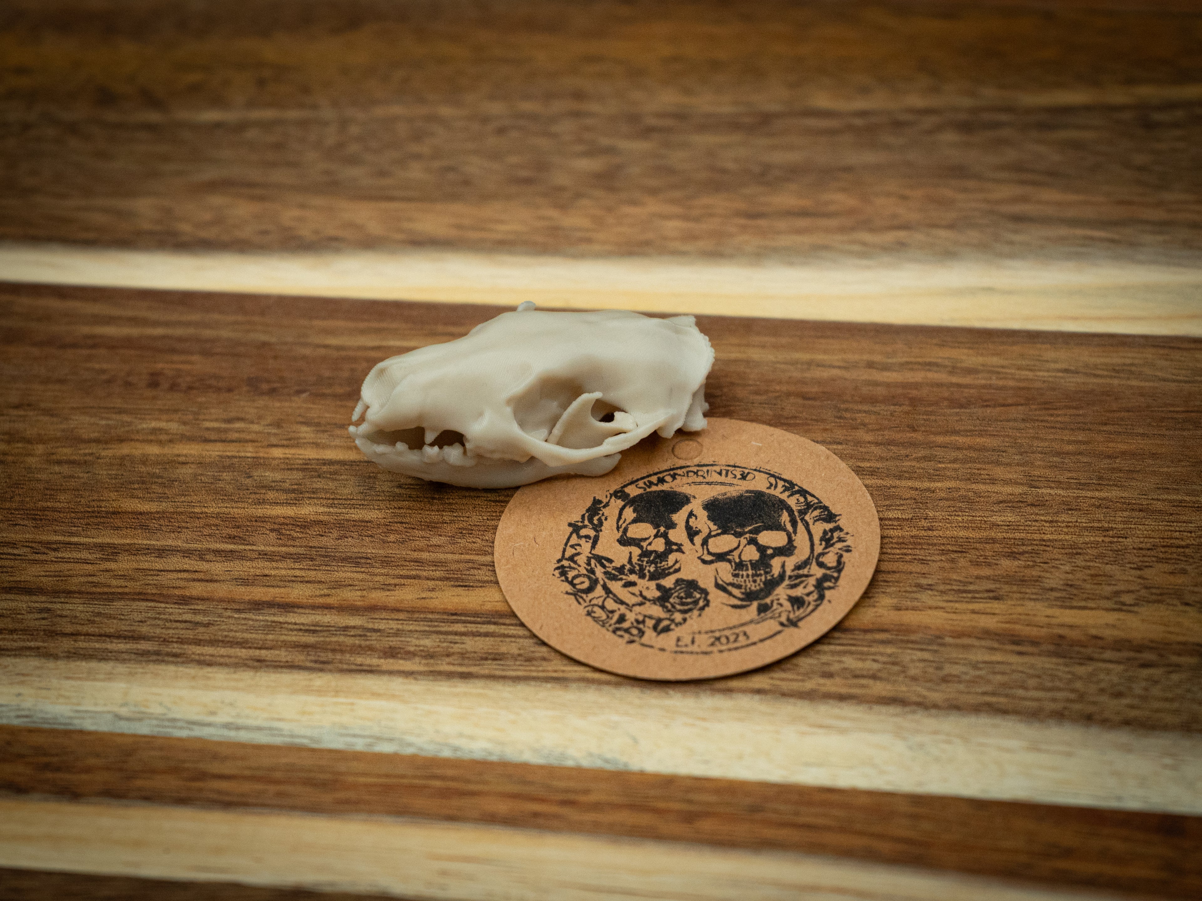 Life-Size Hedgehog Skull Replica – Realistic 3D Printed Bone Model