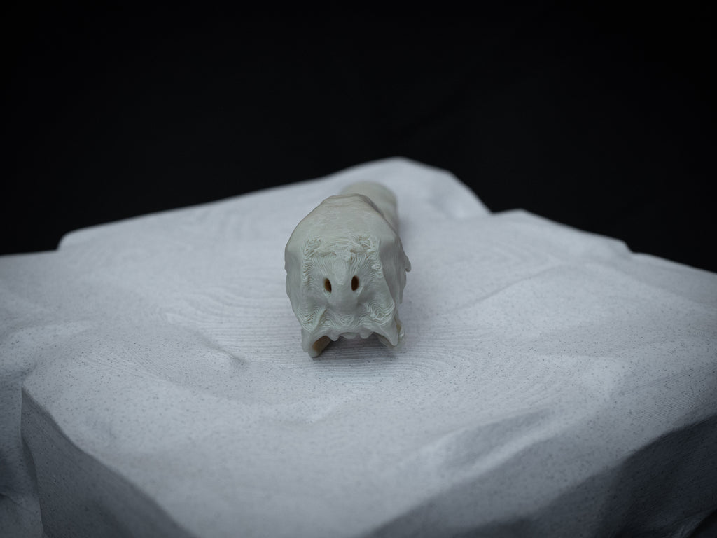 Duck Skull - Life Size 3D Print