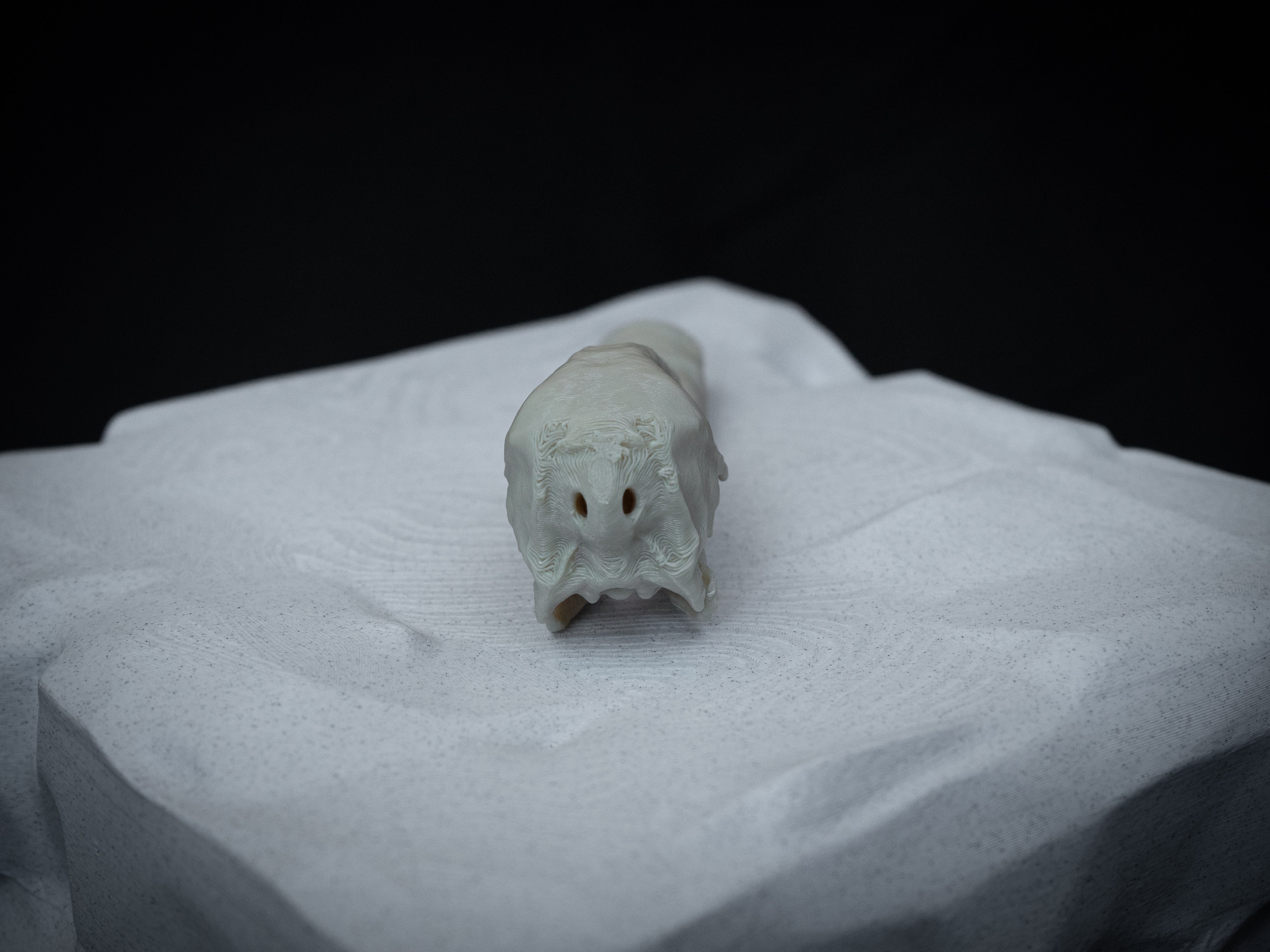 Duck Skull - Life Size 3D Print