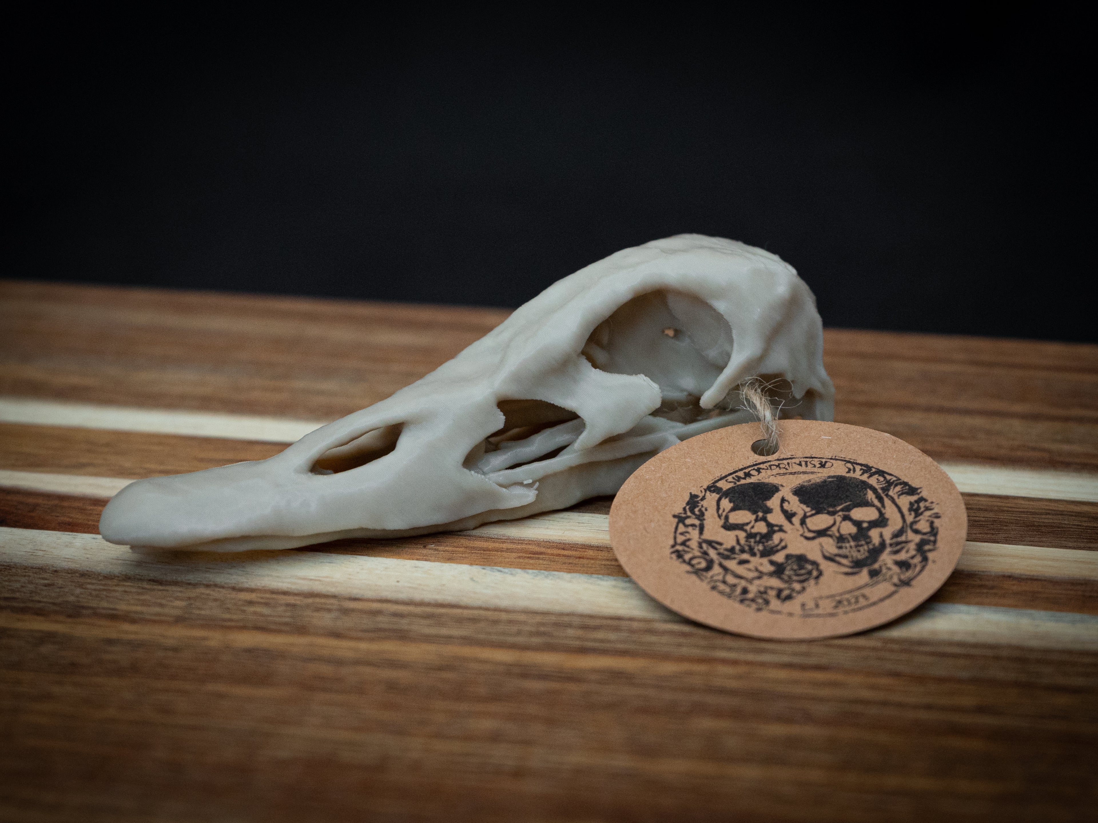 Duck Skull - Life Size 3D Print