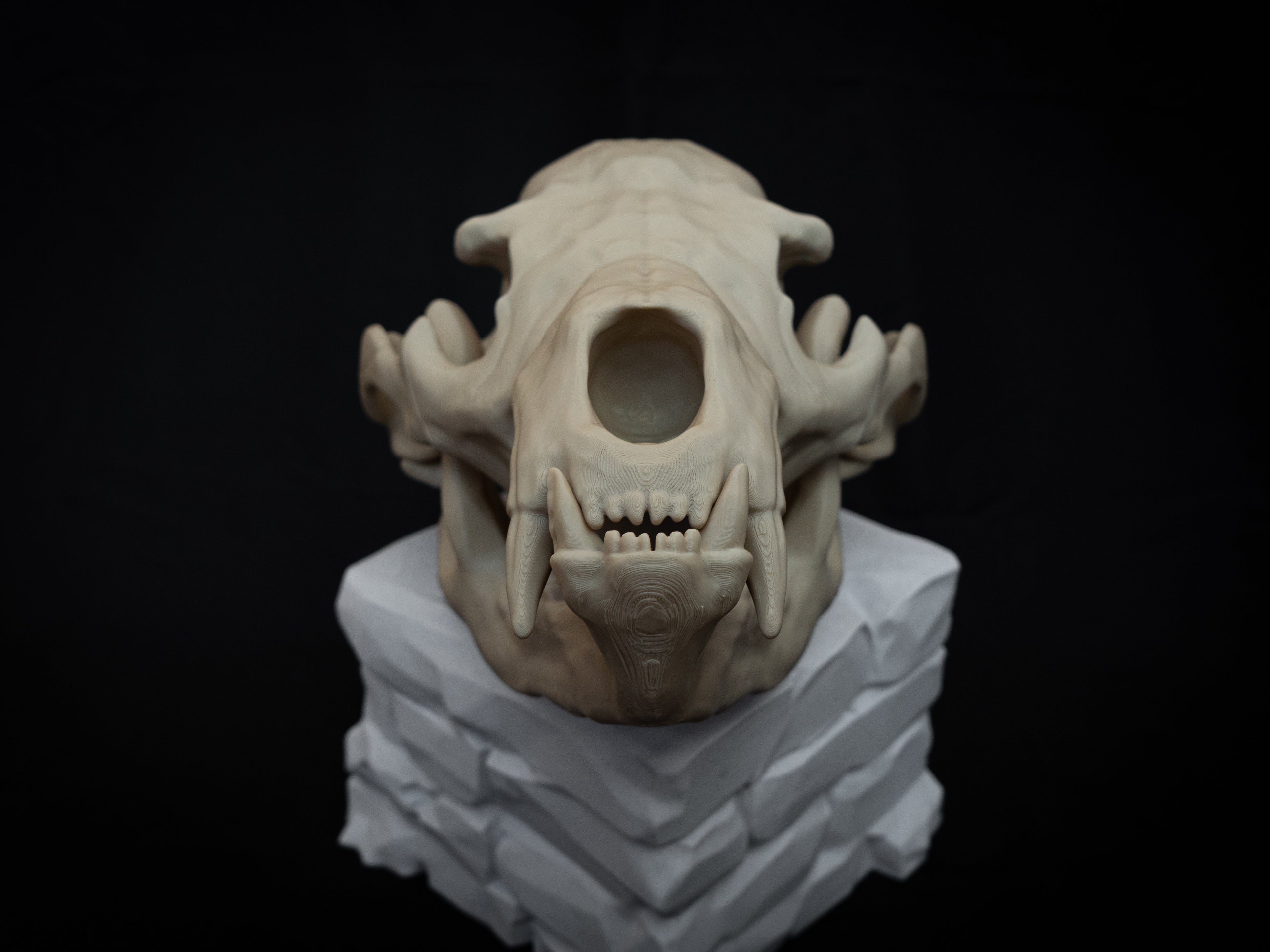 Life Size Grizzly Bear Skull Replica – Realistic 3D Printed Bone Model Display