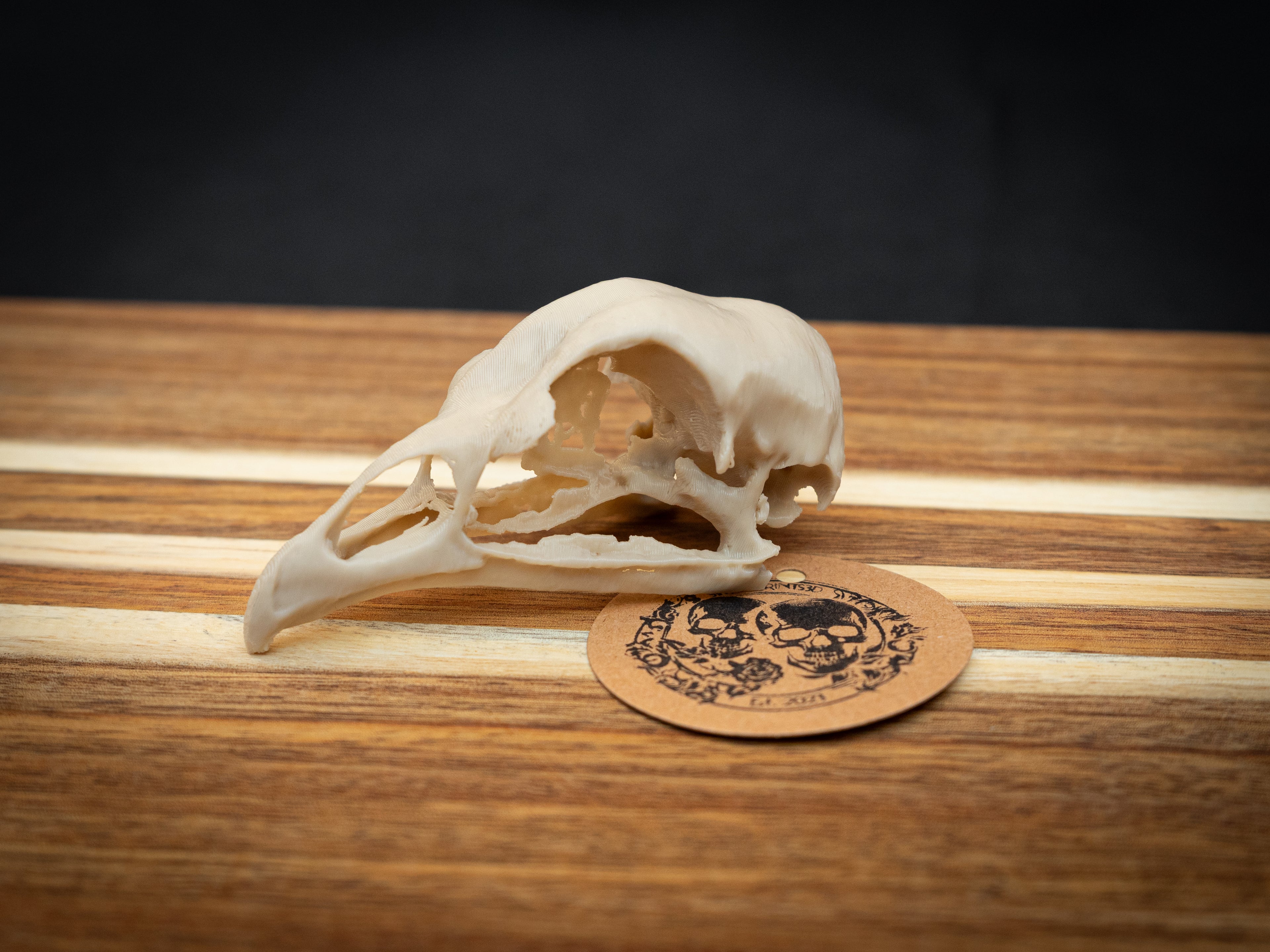 Life Size Emperor Chicken Skull Replica – Realistic 3D Printed Bone Model