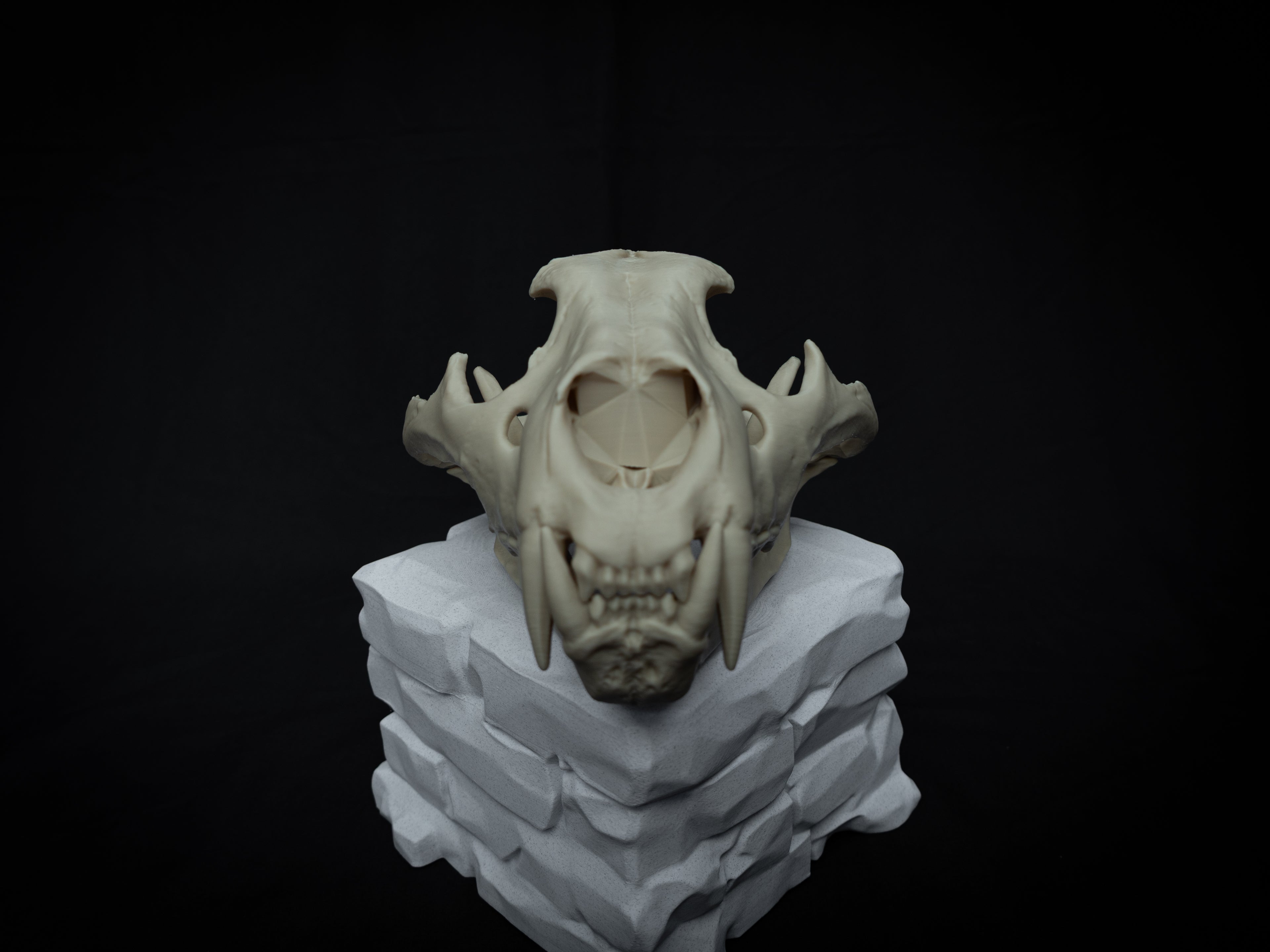 Life Size Lion Skull Replica – Realistic 3D Printed Bone Model