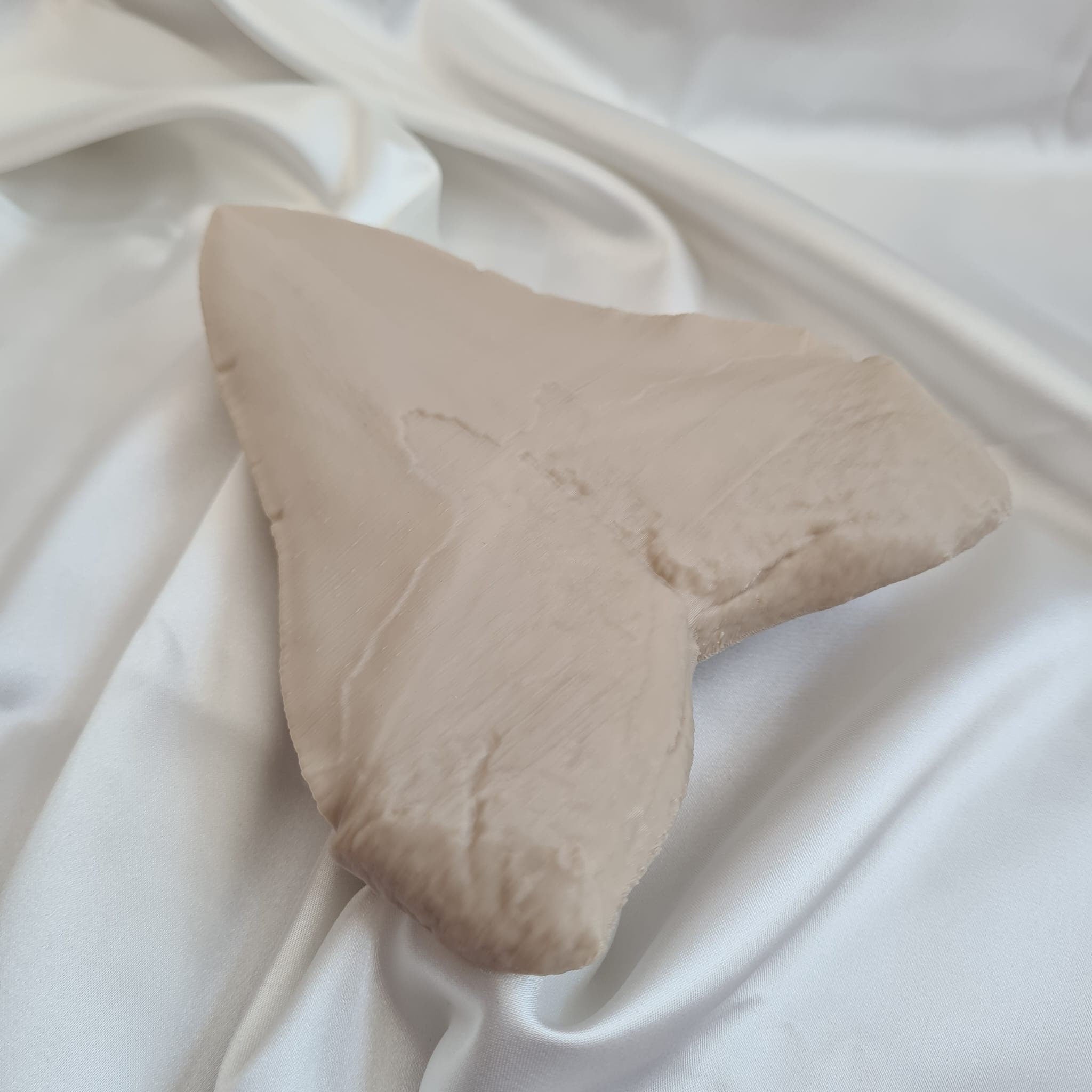 Megalodon Tooth - Life Size 3D Print