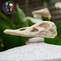 Duck Skull - Life Size 3D Print