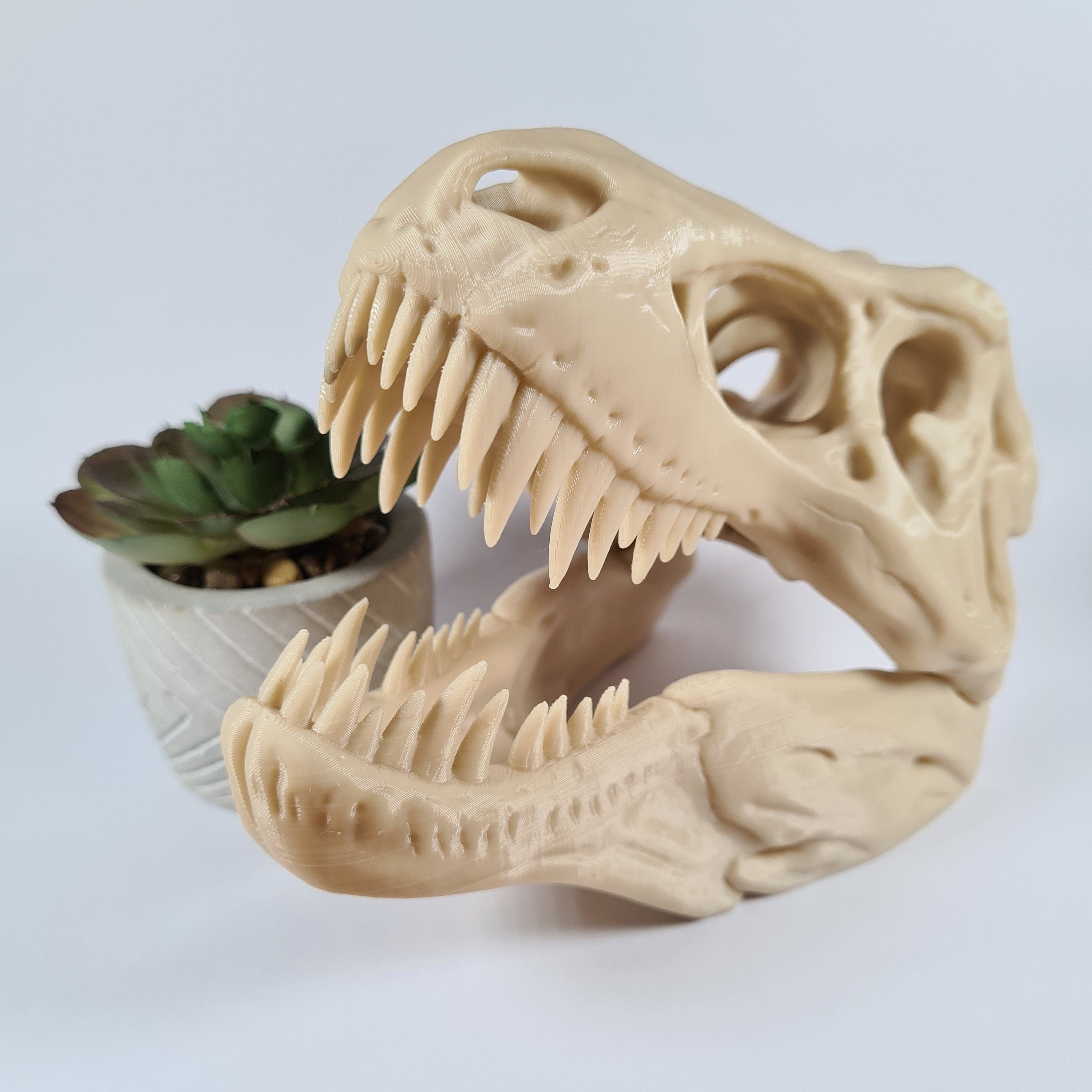 T-Rex Dinosaur skull - 3D Print