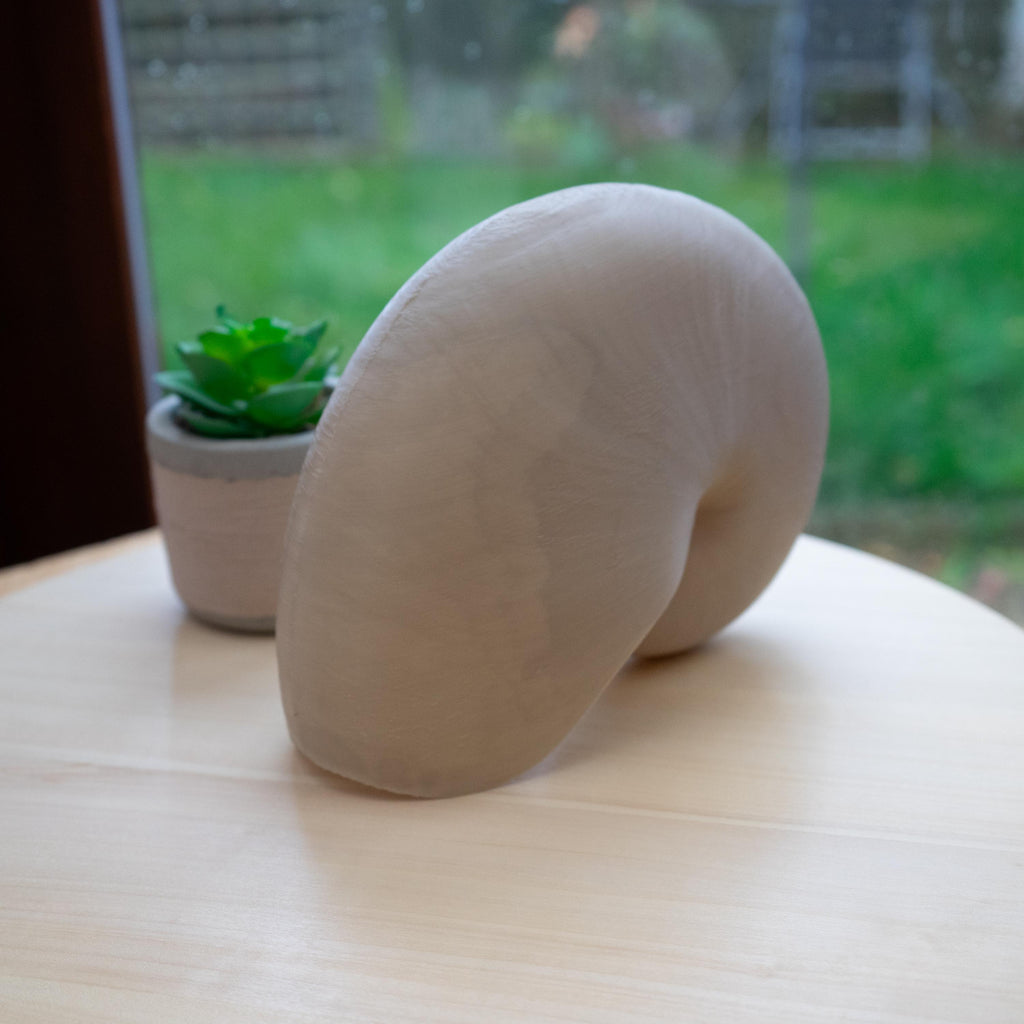 Nautilus Shell - Life Size 3D Print
