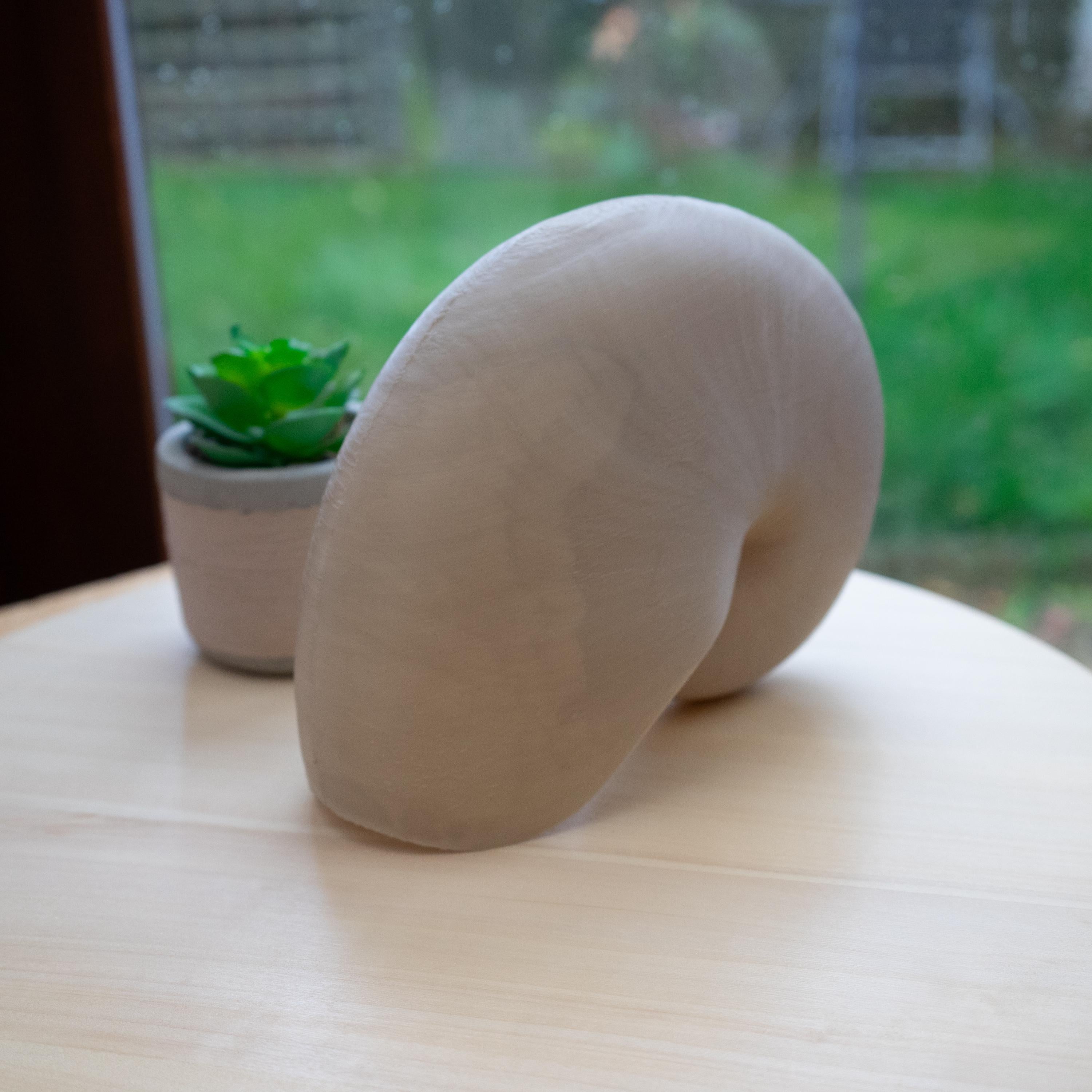 Nautilus Shell - Life Size 3D Print