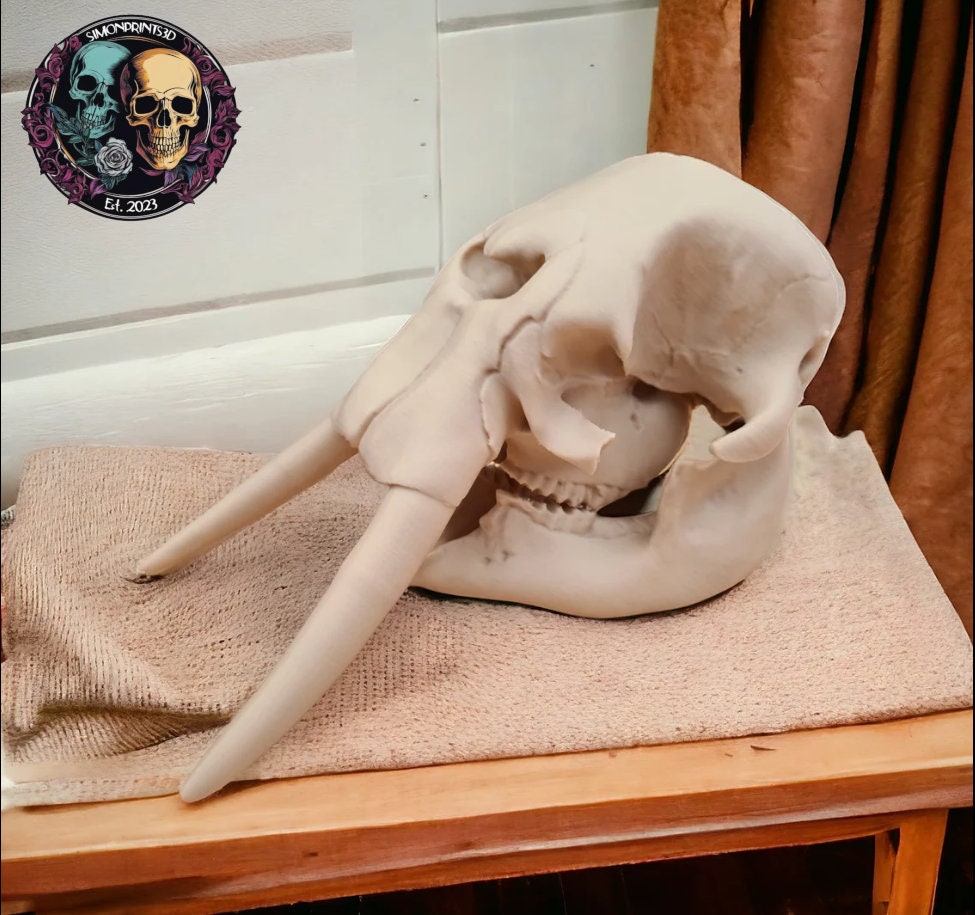 Elephant Skull - 3D Print