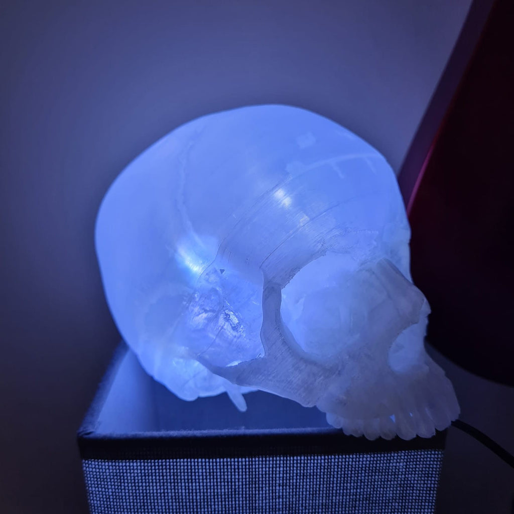 Transparent Human Skull Lamp - 3D Printed Home Décor