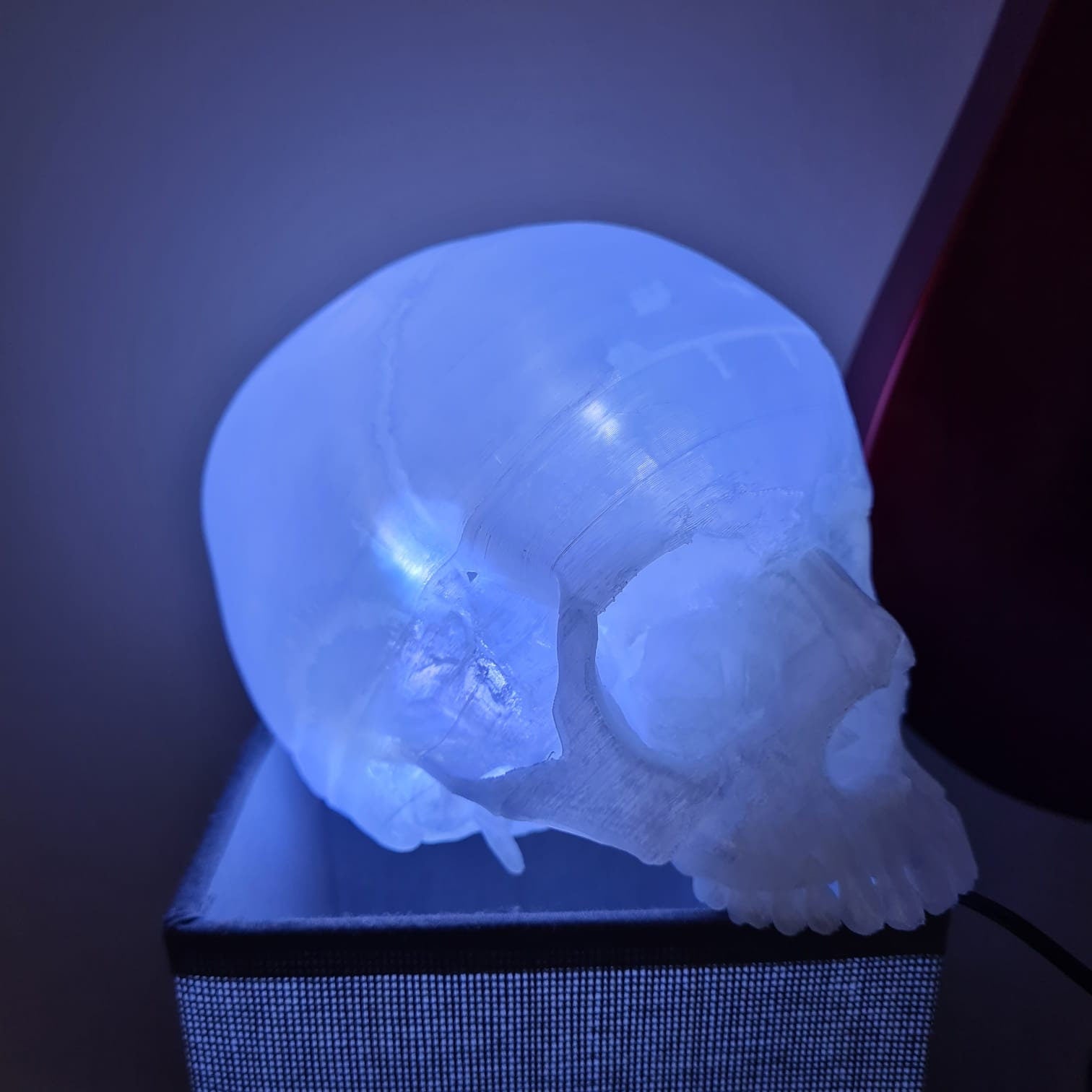Transparent Human Skull Lamp - 3D Printed Home Décor
