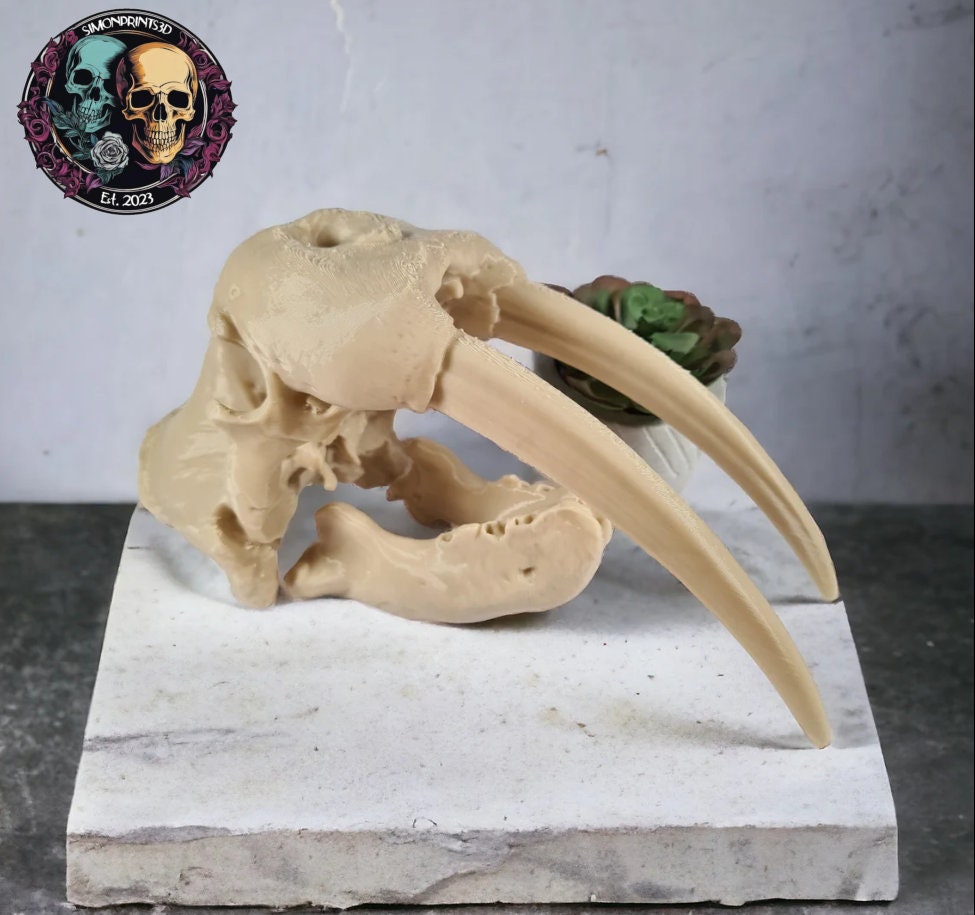 Fossilized animal skull and claw on a marble base with a decorative skull emblem in the corner.