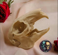 Rabbit Skull - Life Size 3D Print