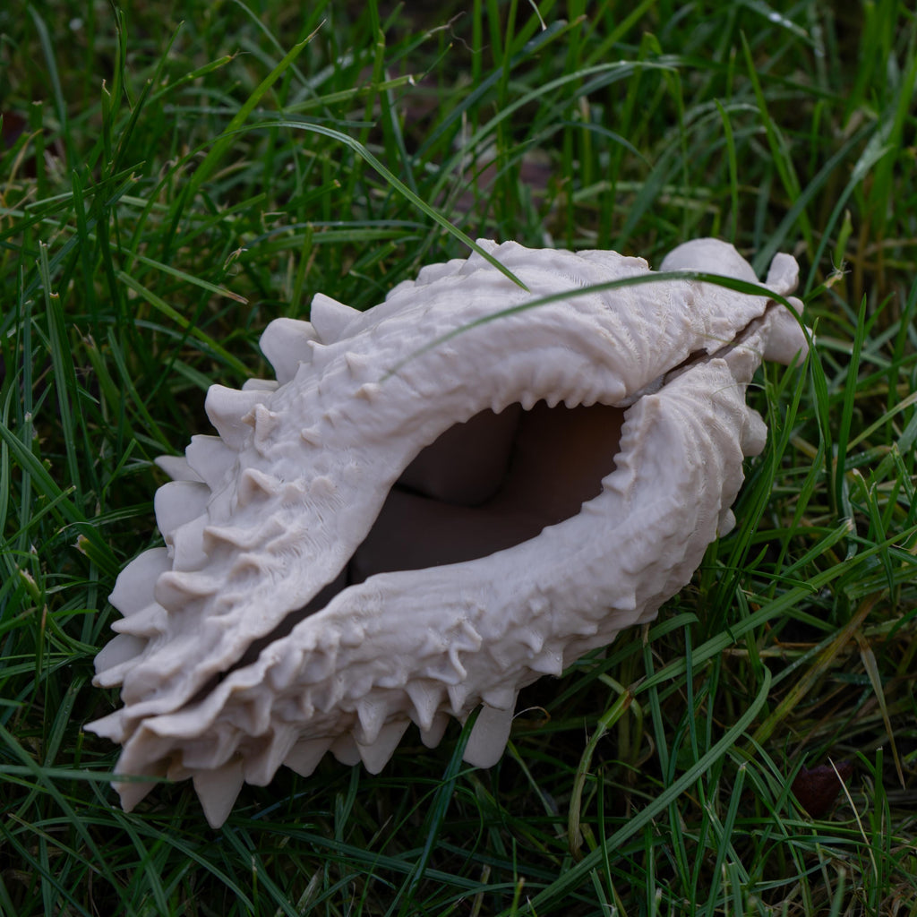 Giant Clam - 3D Print