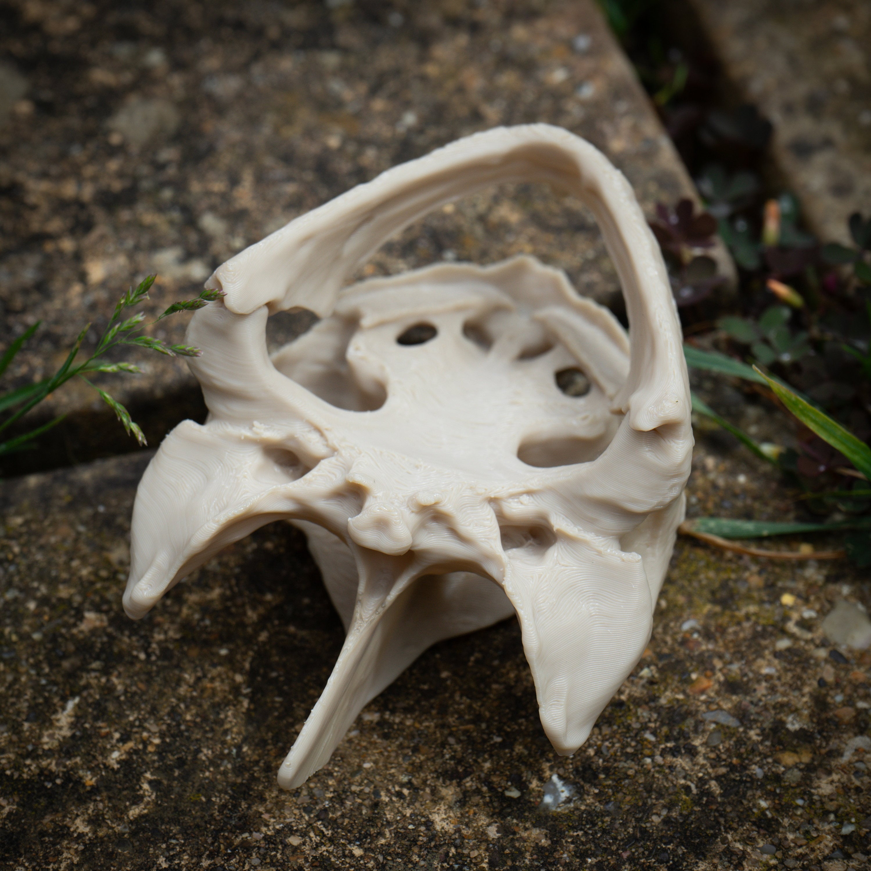 Snapping Turtle Skull - Life Size 3D Print